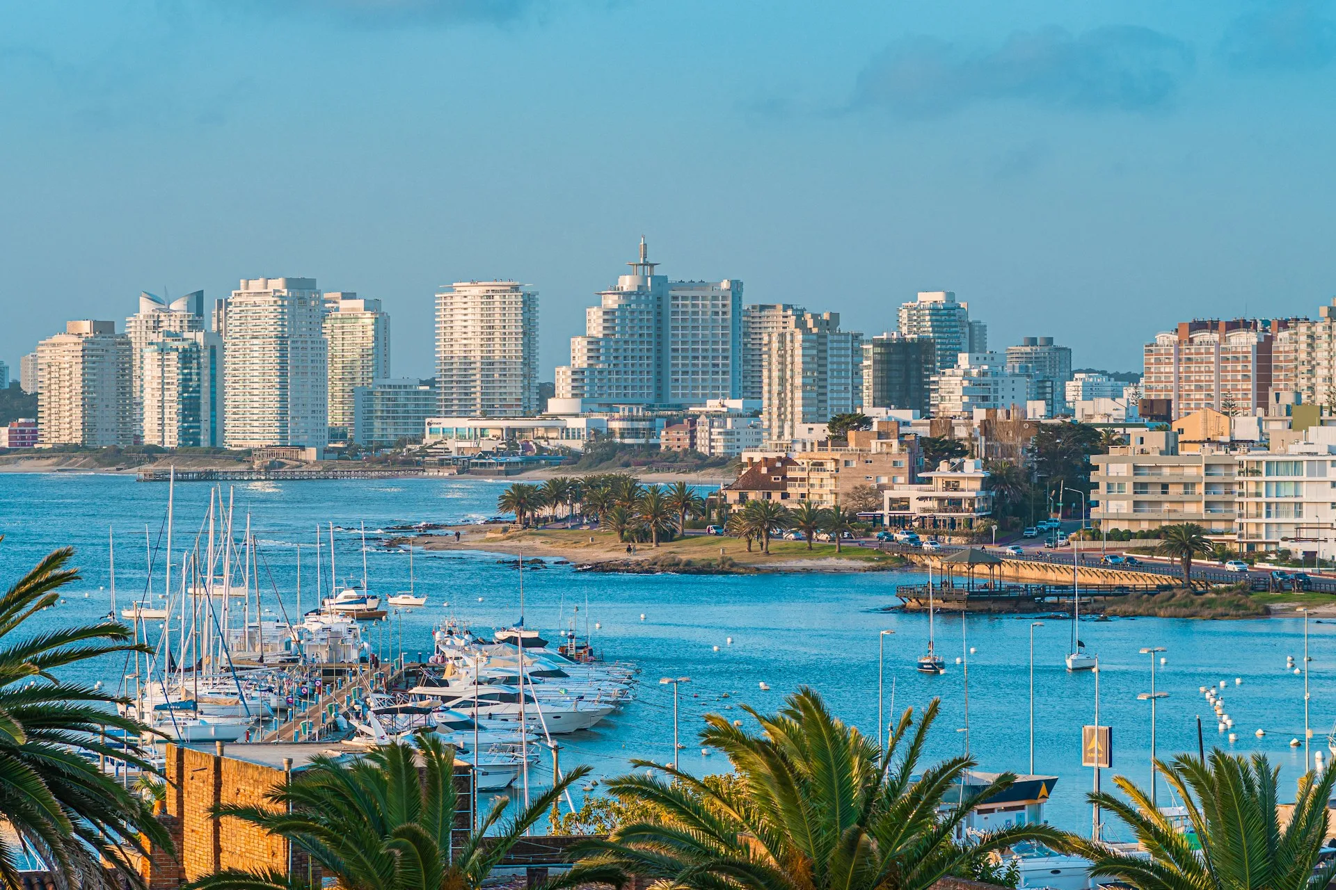 Colorful fishing boats and sea lions in Punta del Este harbor