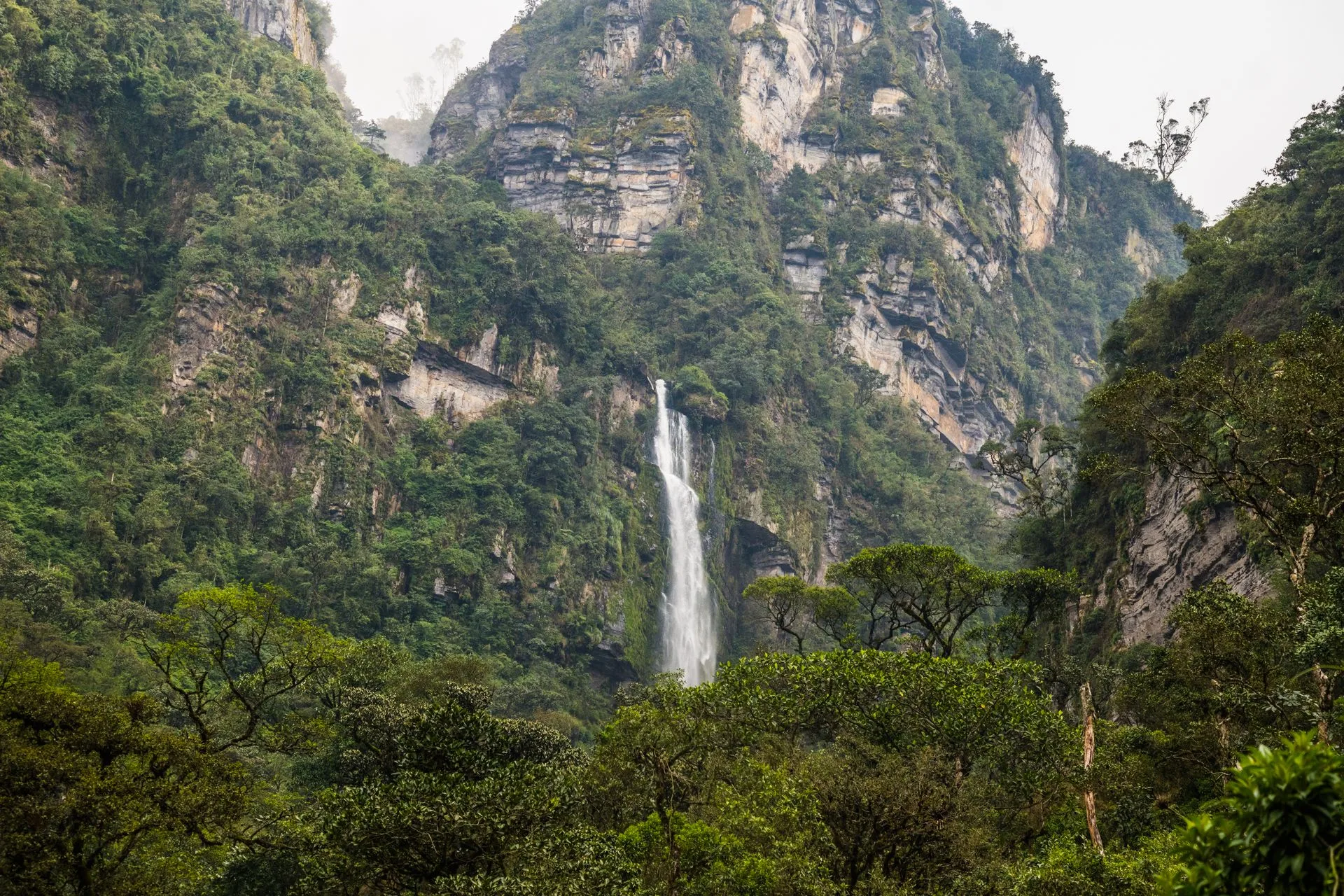 Angel Falls cascading from Auyán-tepui captured from Laime viewpoint