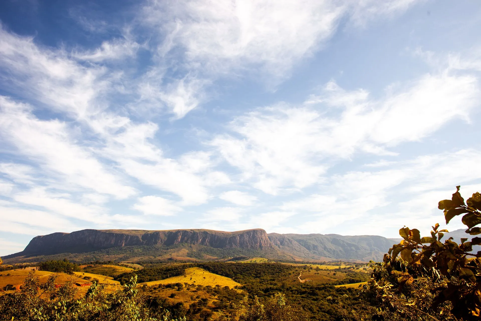 Dramatic tepui table mountains rising from savanna in Gran Sabana