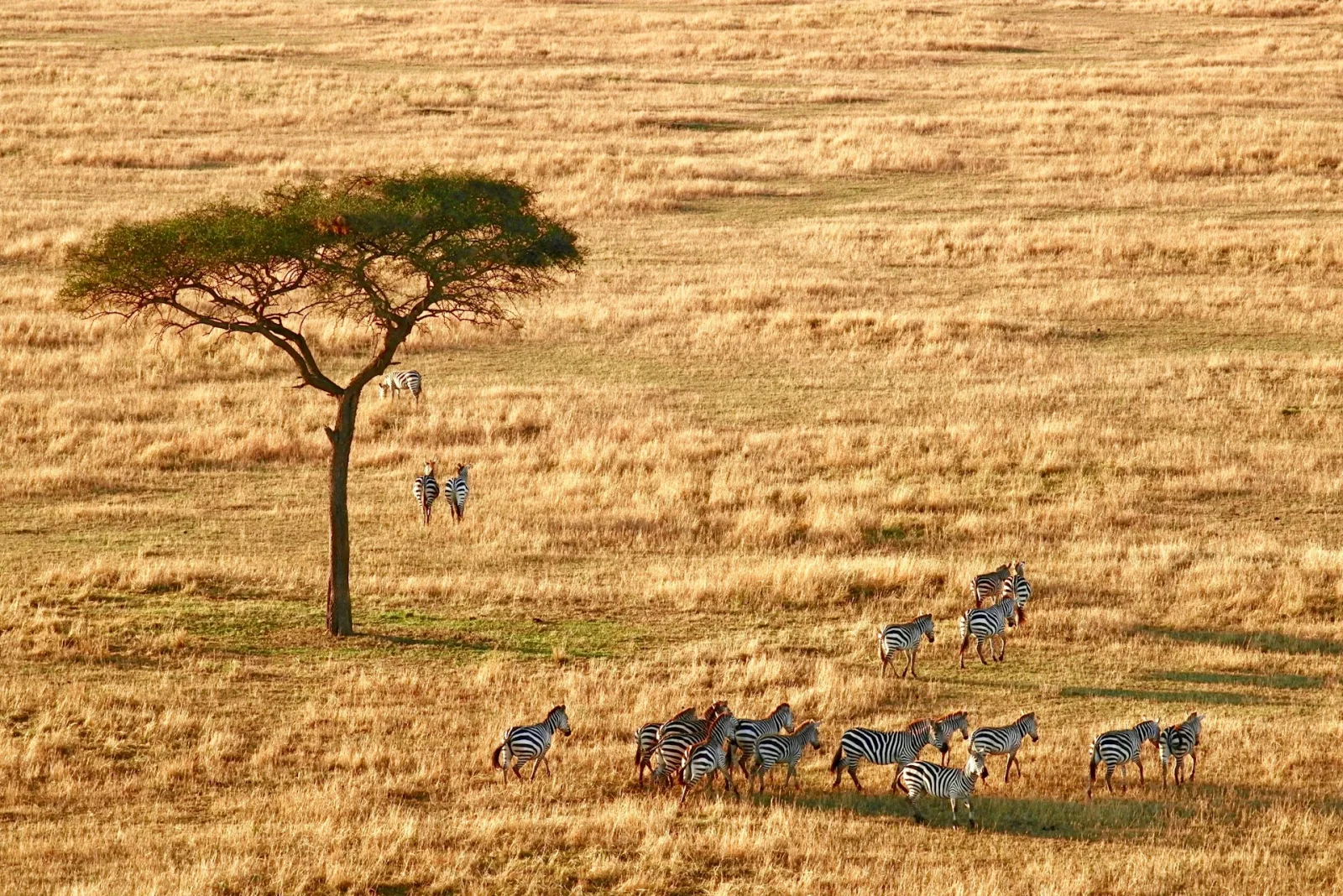 Arusha City Guide travel guide for Indian travellers