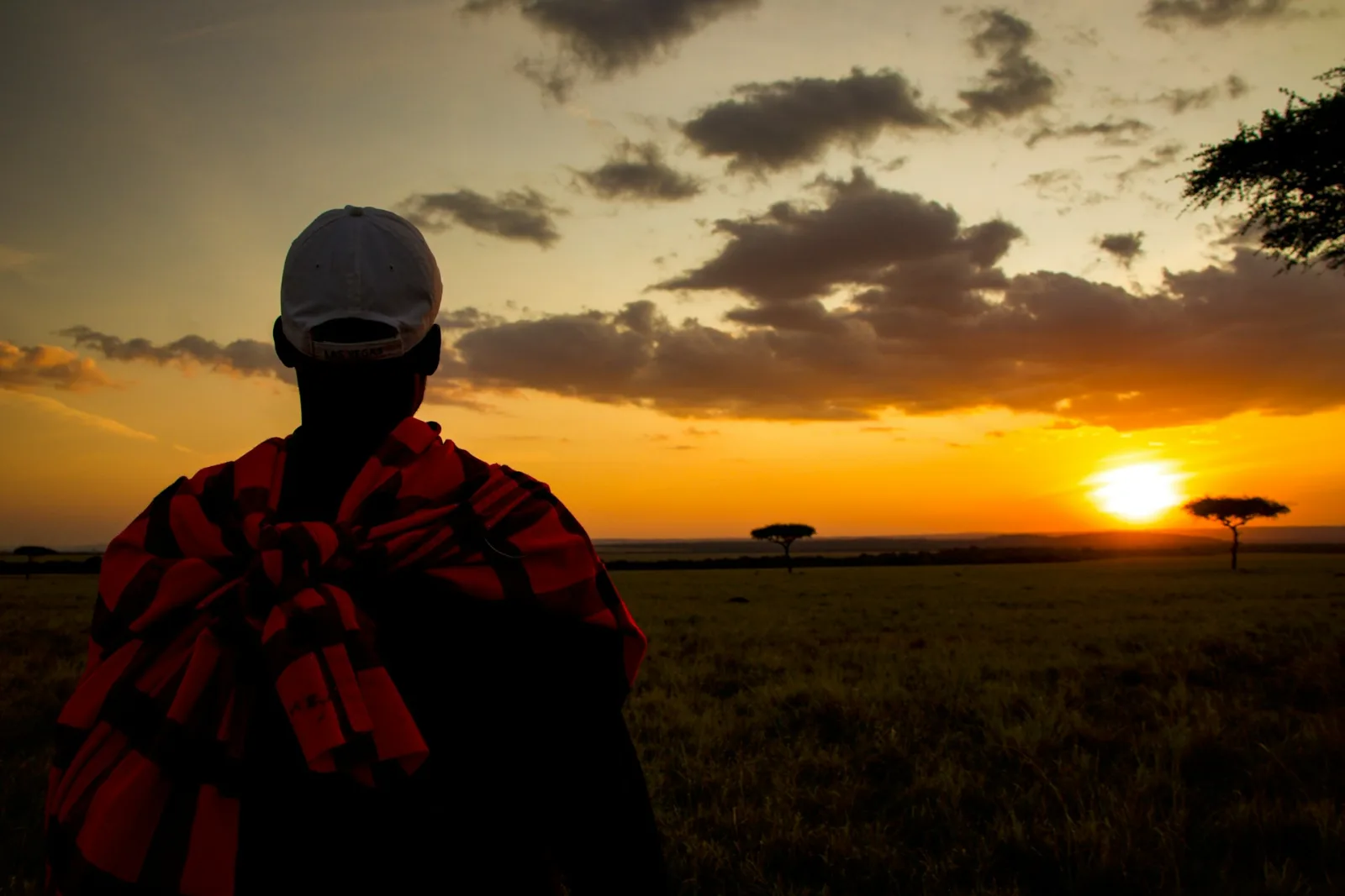 Best Time to Visit Kenya for Safari travel guide for Indian travellers