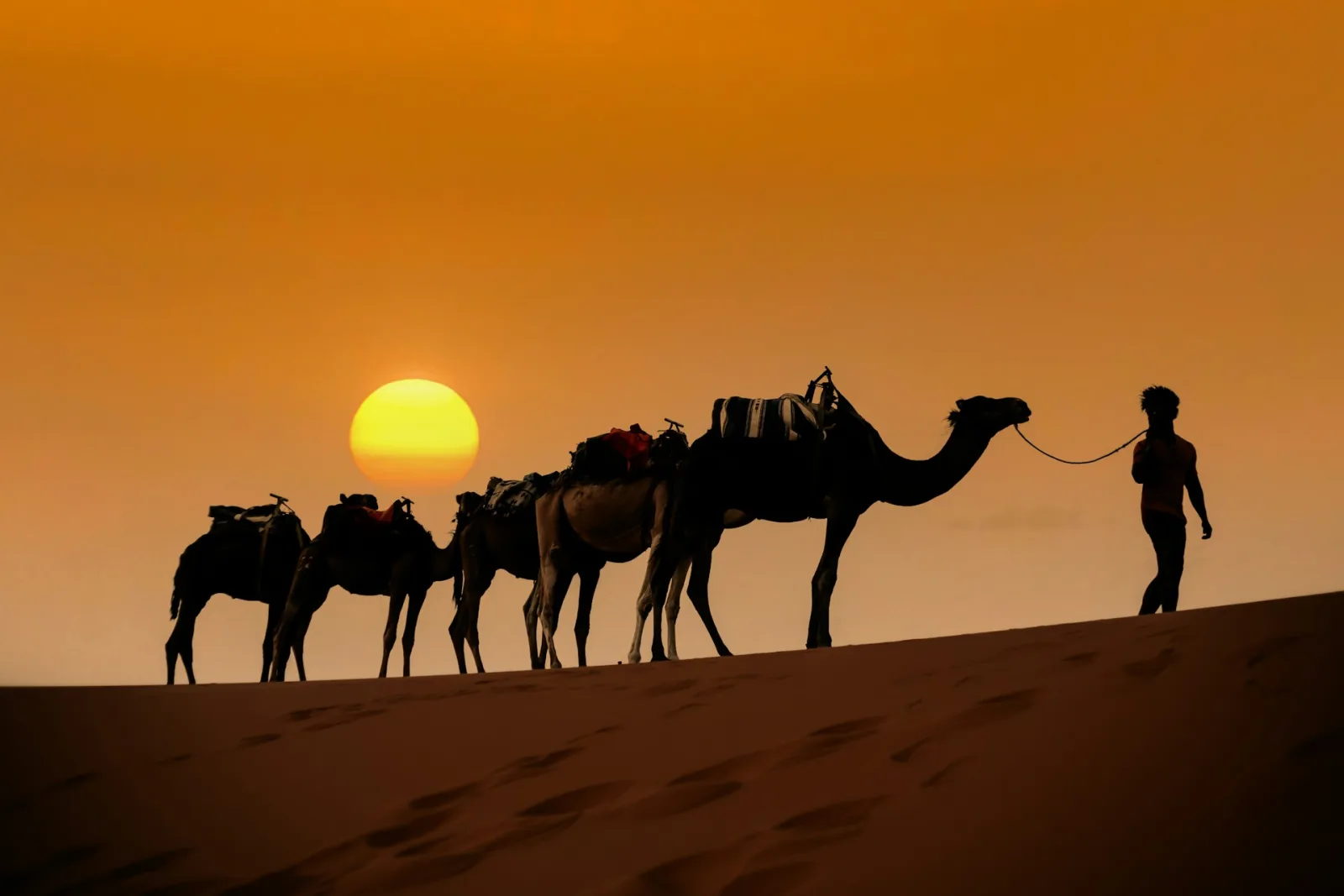 Best Time to Visit Morocco from India travel guide for Indian travellers