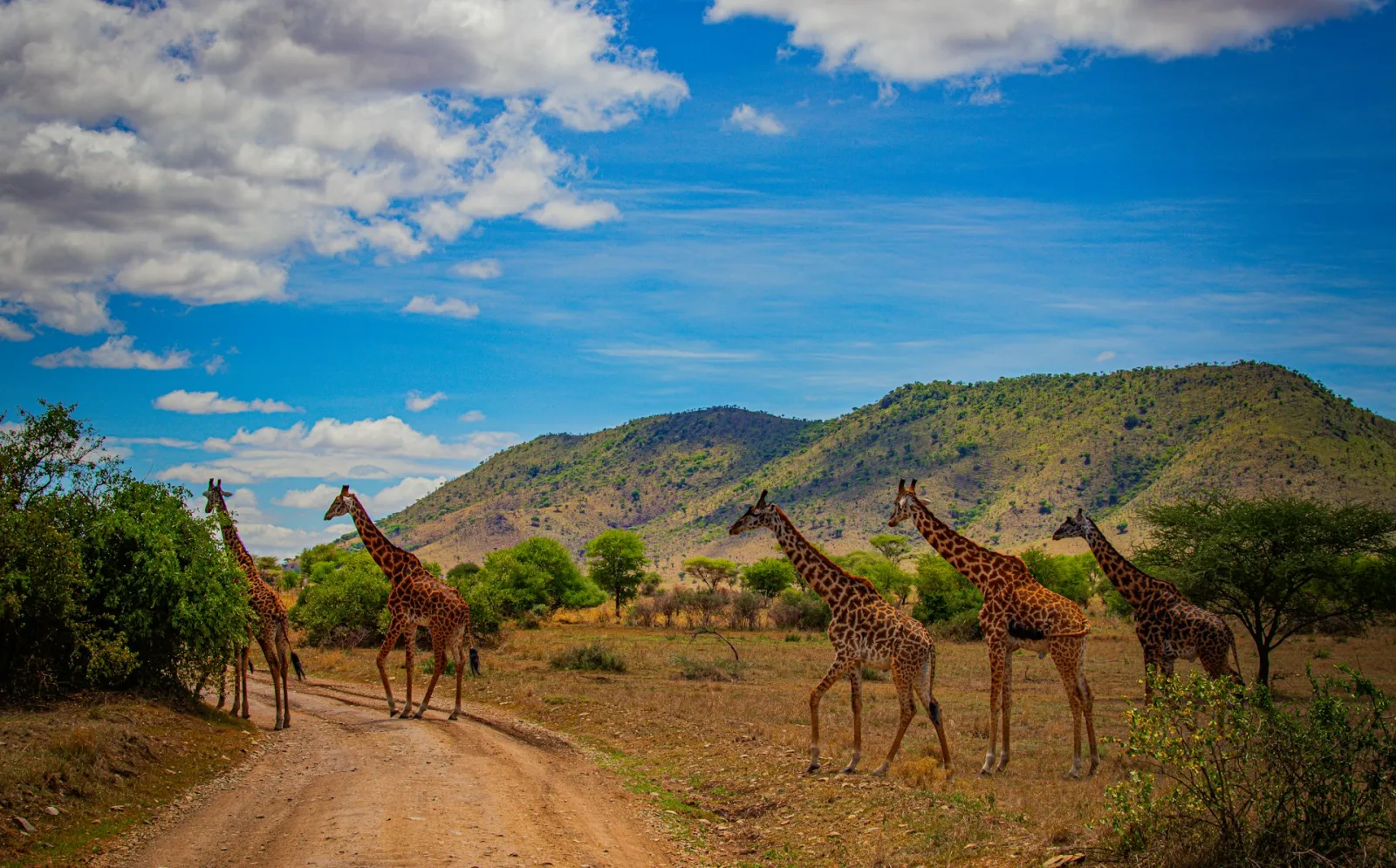Best Time to Visit Tanzania from India travel guide for Indian travellers