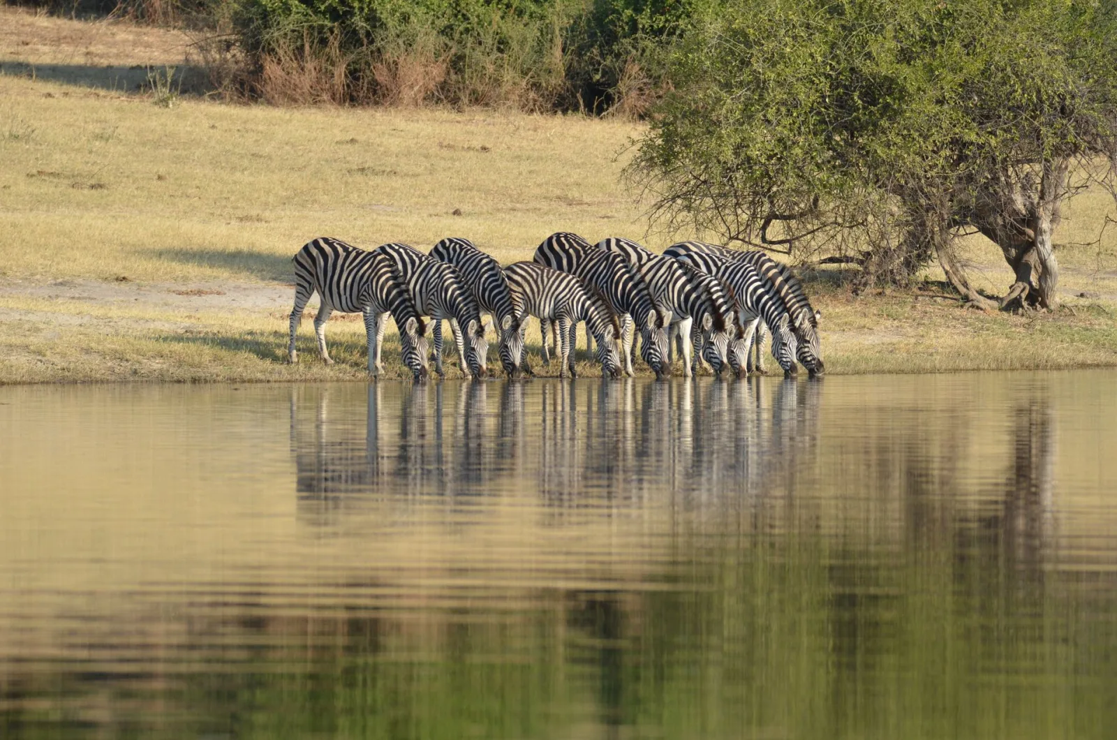 Best Time to Visit Zimbabwe from India travel guide for Indian travellers