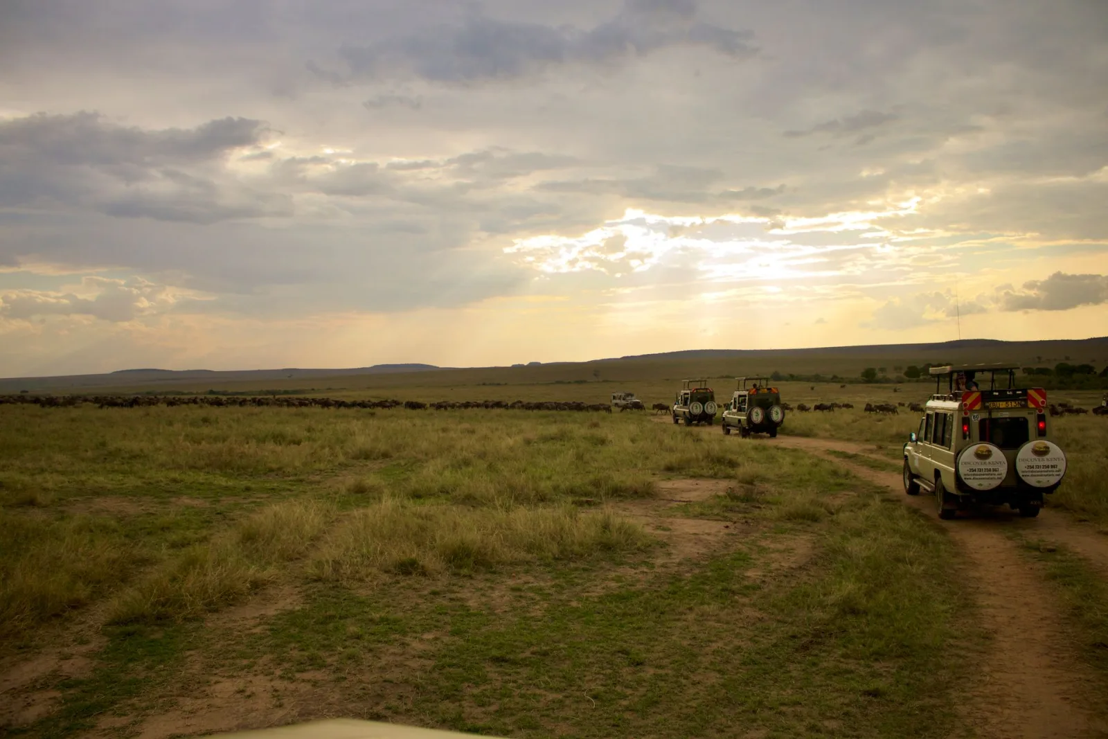 Botswana Budget Safari Options travel guide for Indian travellers