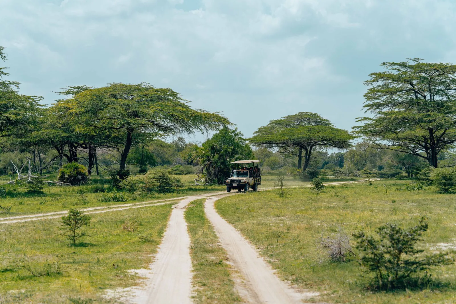 Botswana Dry Season Safari Guide travel guide for Indian travellers