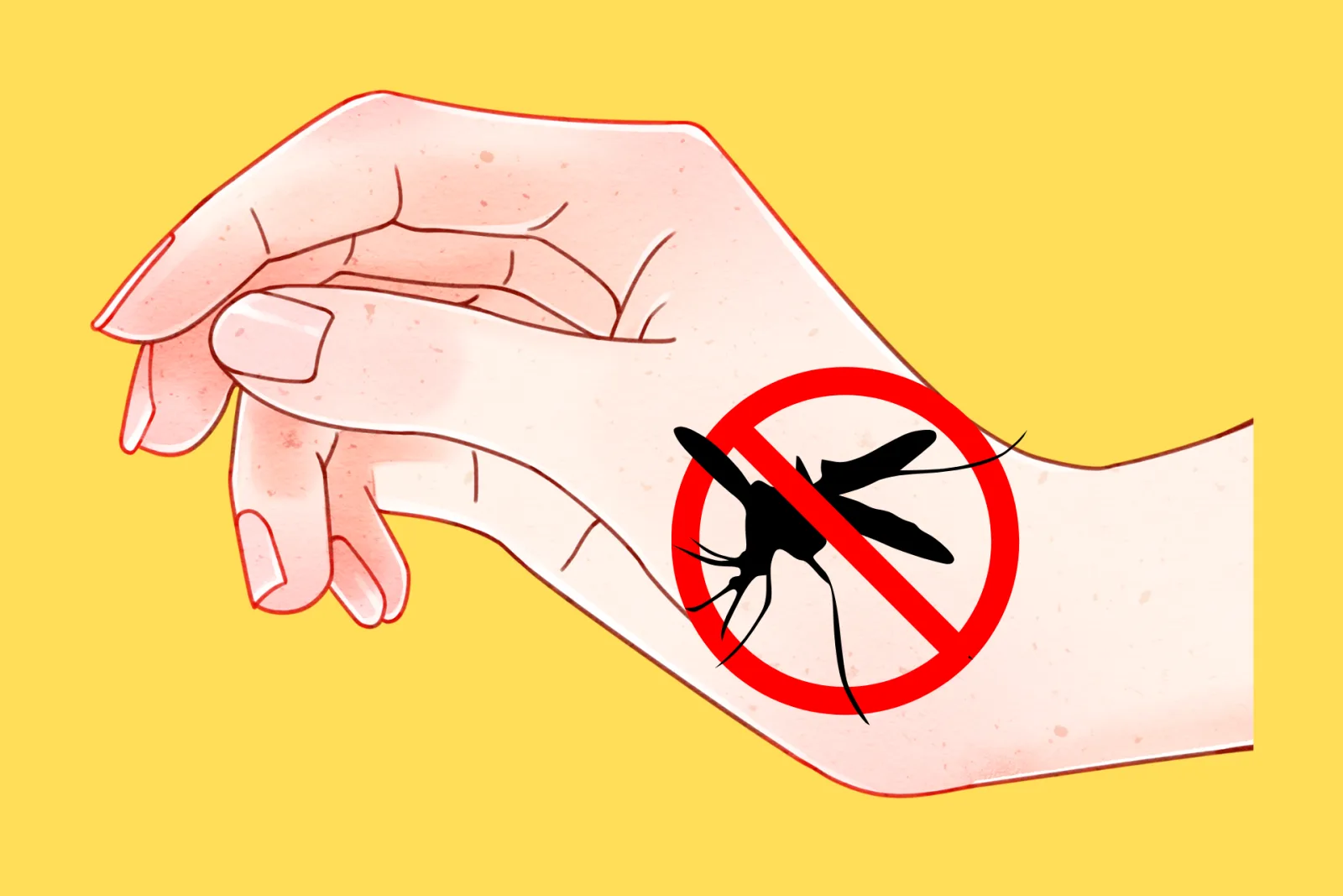 Botswana Malaria & Health Guide travel guide for Indian travellers