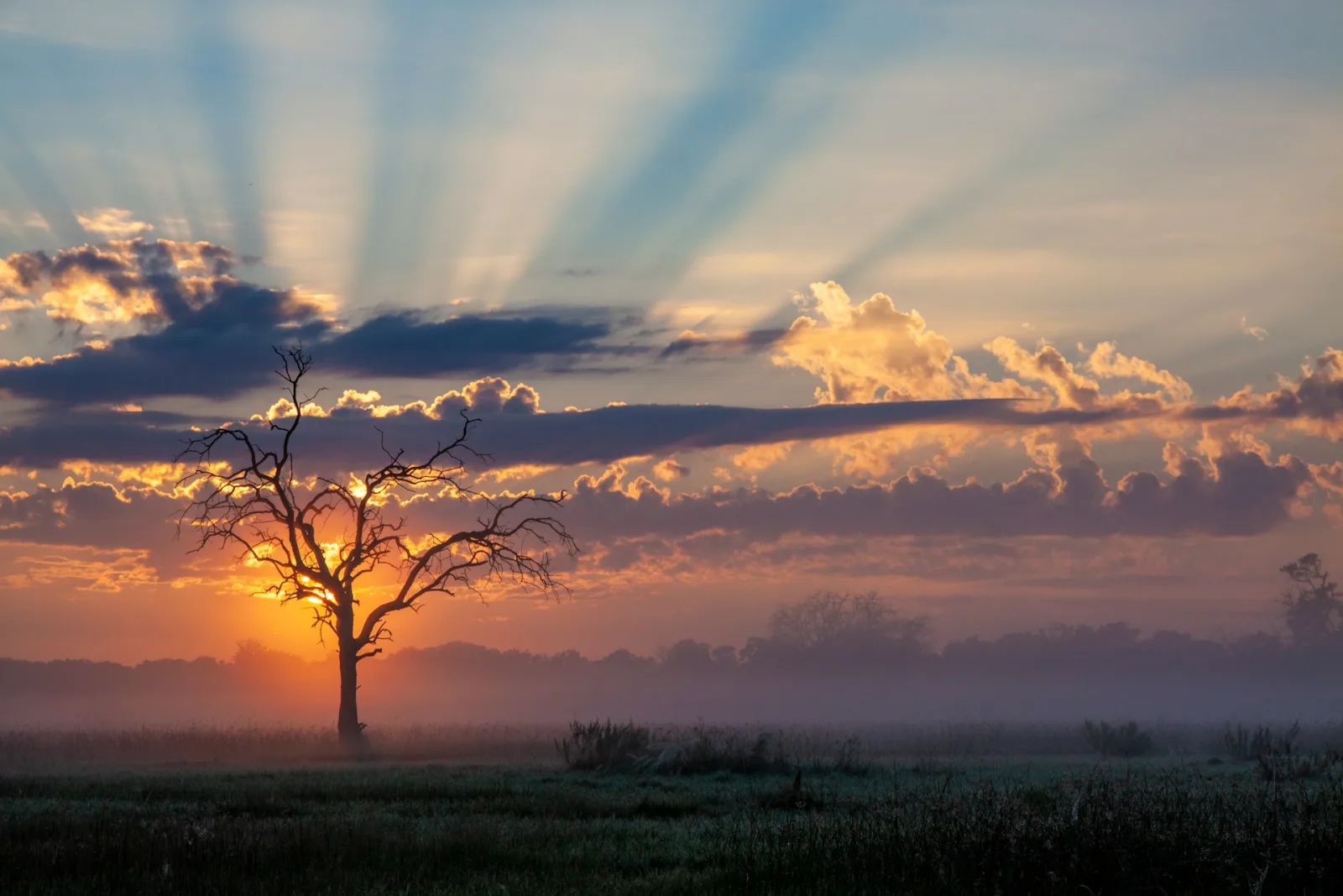 Botswana Trip Cost from India travel guide for Indian travellers