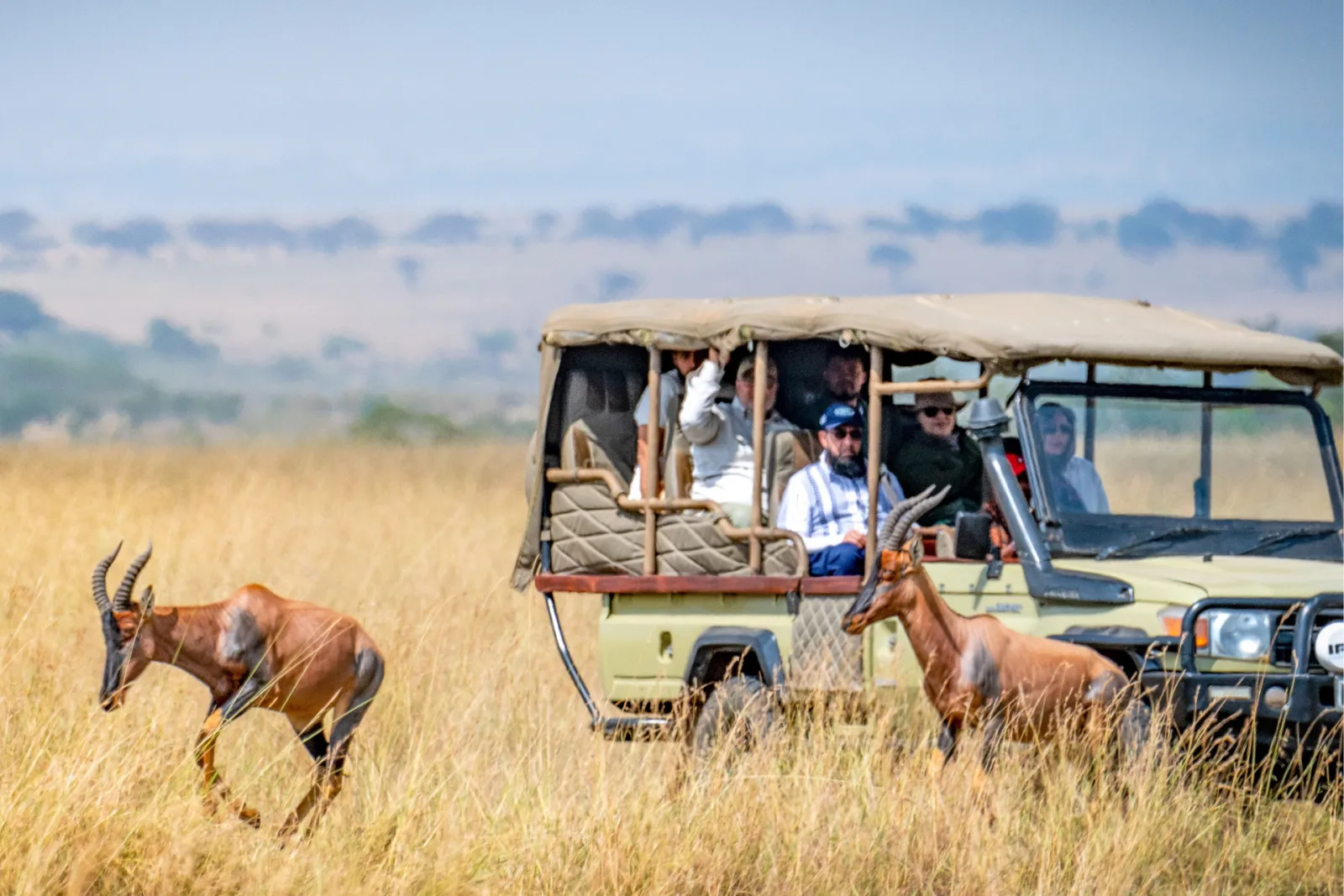 Budget Kenya Safari from India travel guide for Indian travellers