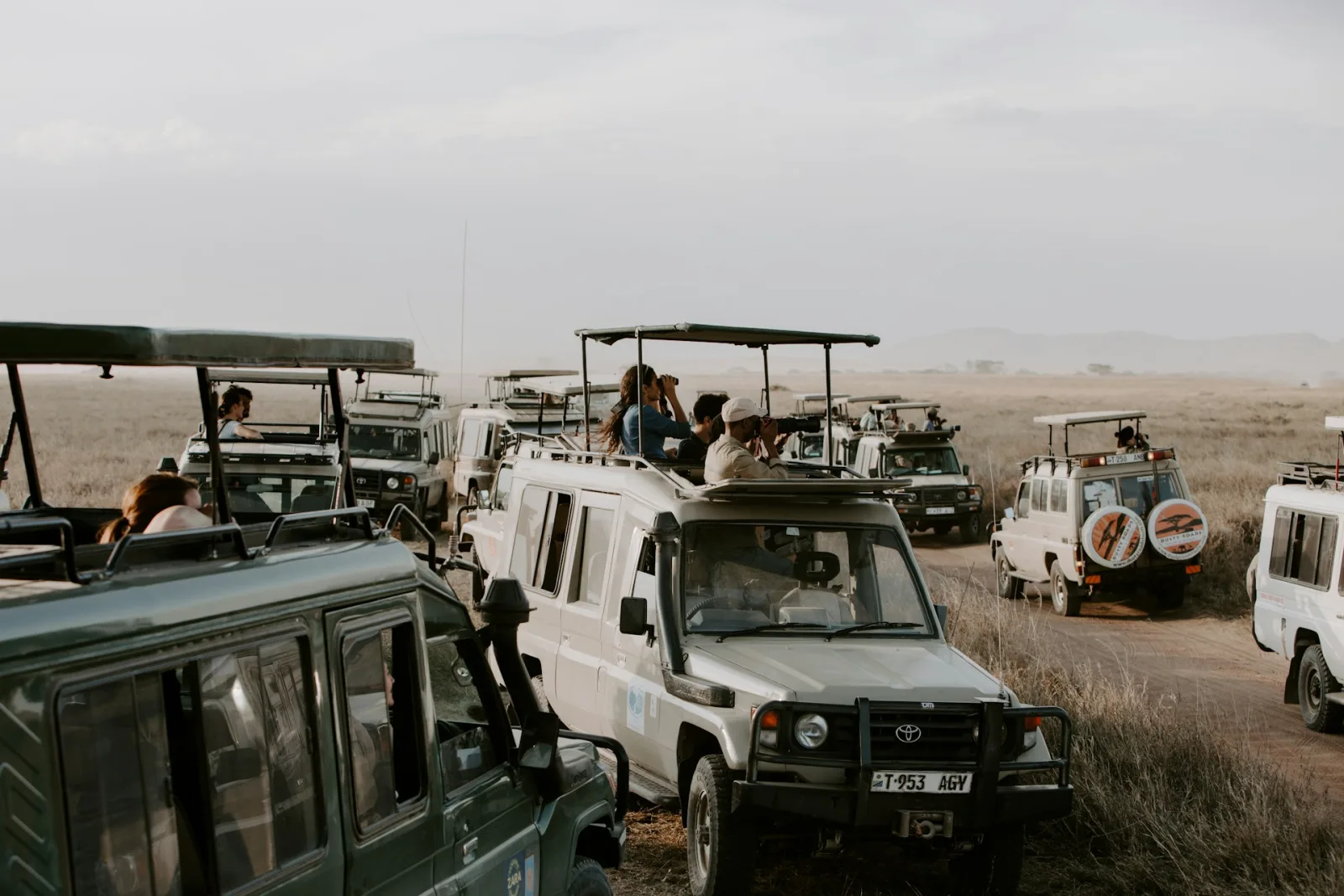 Budget Safari Tanzania travel guide for Indian travellers