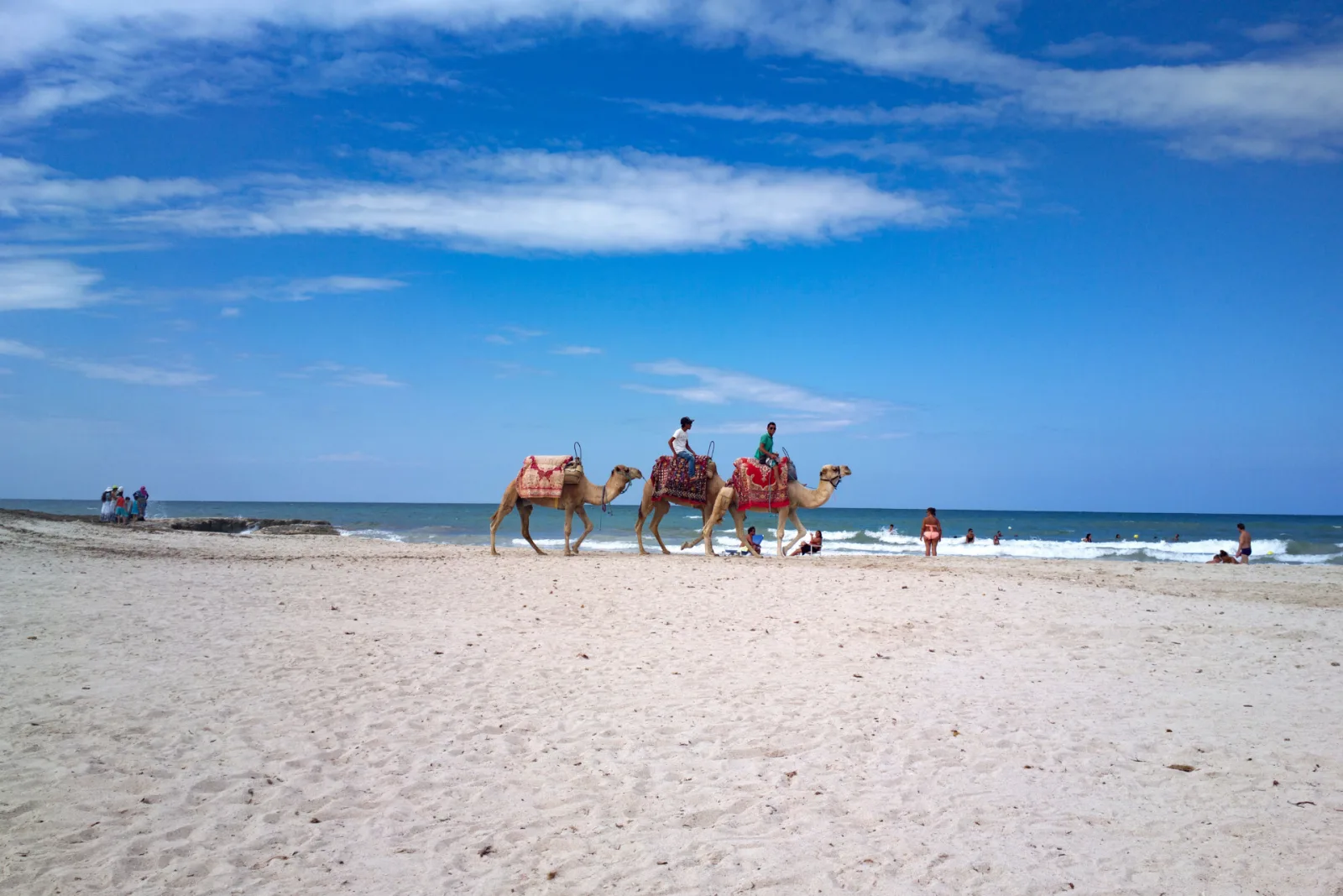 Djerba City Guide