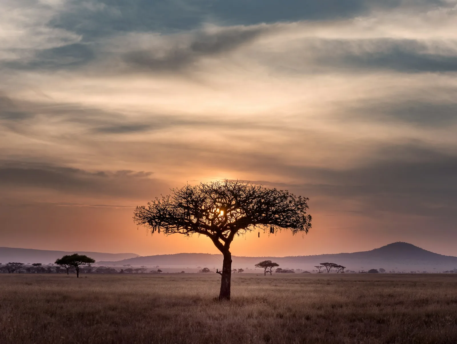 East Africa Tourist Visa (EATV) Guide travel guide for Indian travellers