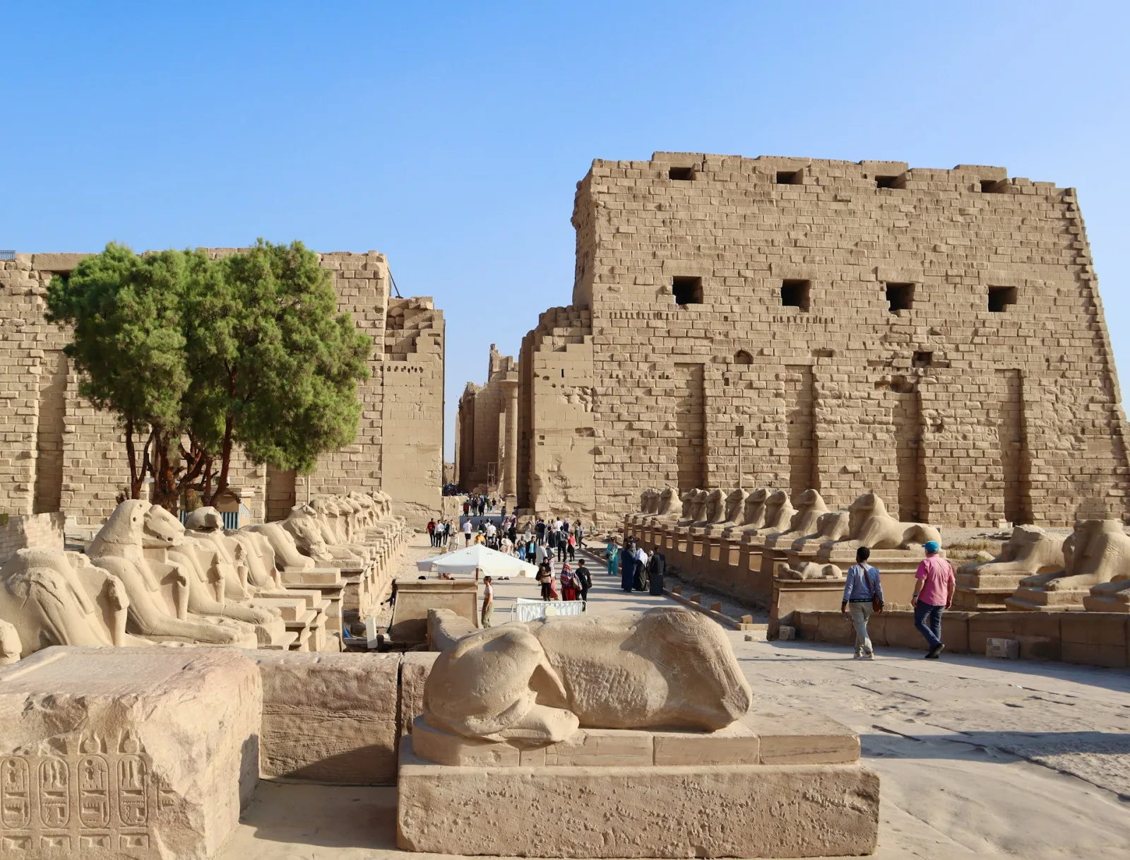 Egypt Senior Travel Guide for Indian Families travel guide for Indian travellers