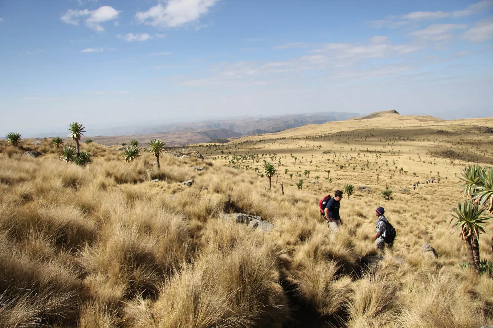 Ethiopia Backpacking Budget Guide travel guide for Indian travellers