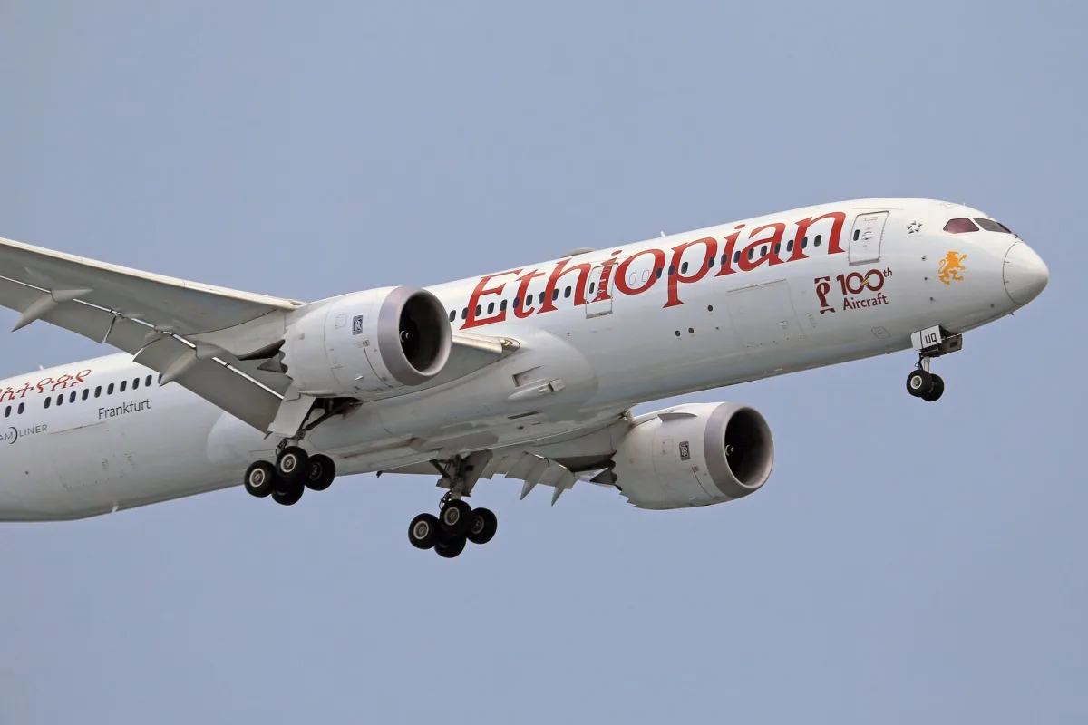 Ethiopia Domestic Flights Guide for Indian travellers