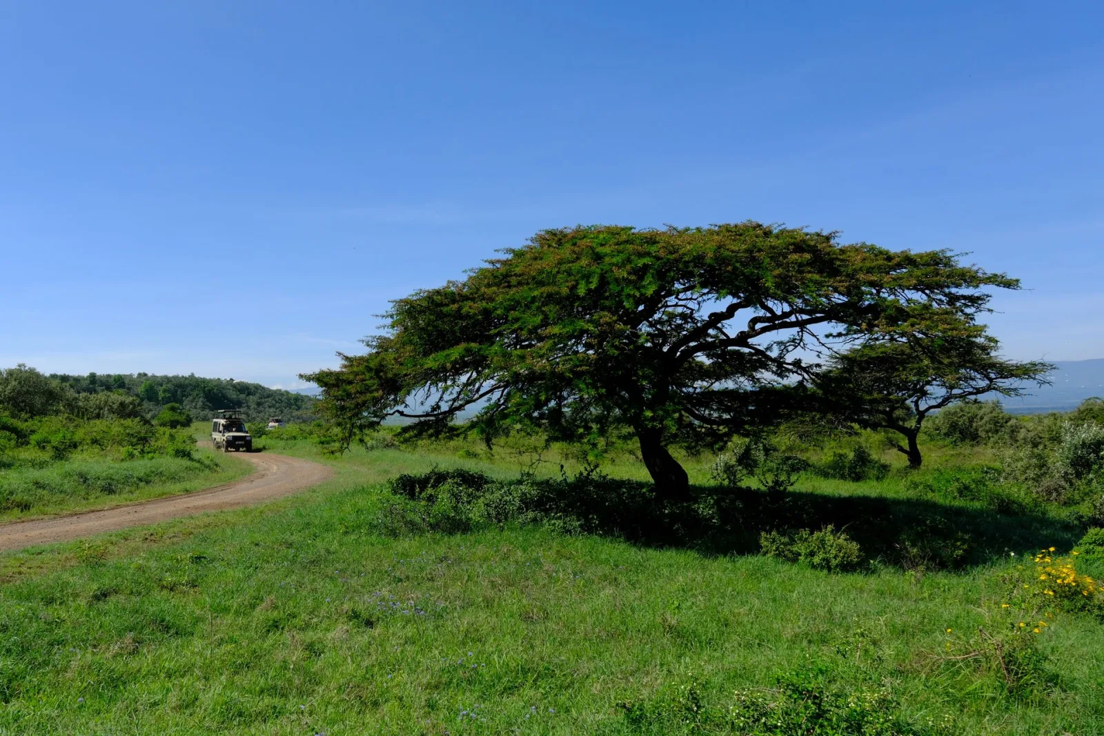 Kenya Green Season Safari Guide travel guide for Indian travellers