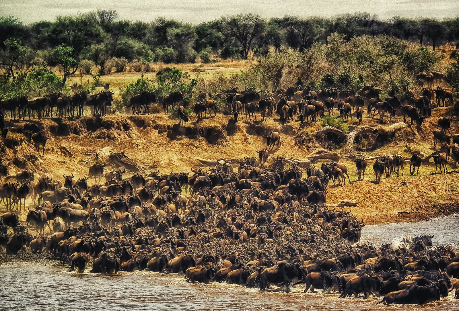 Kenya in July Safari Guide travel guide for Indian travellers