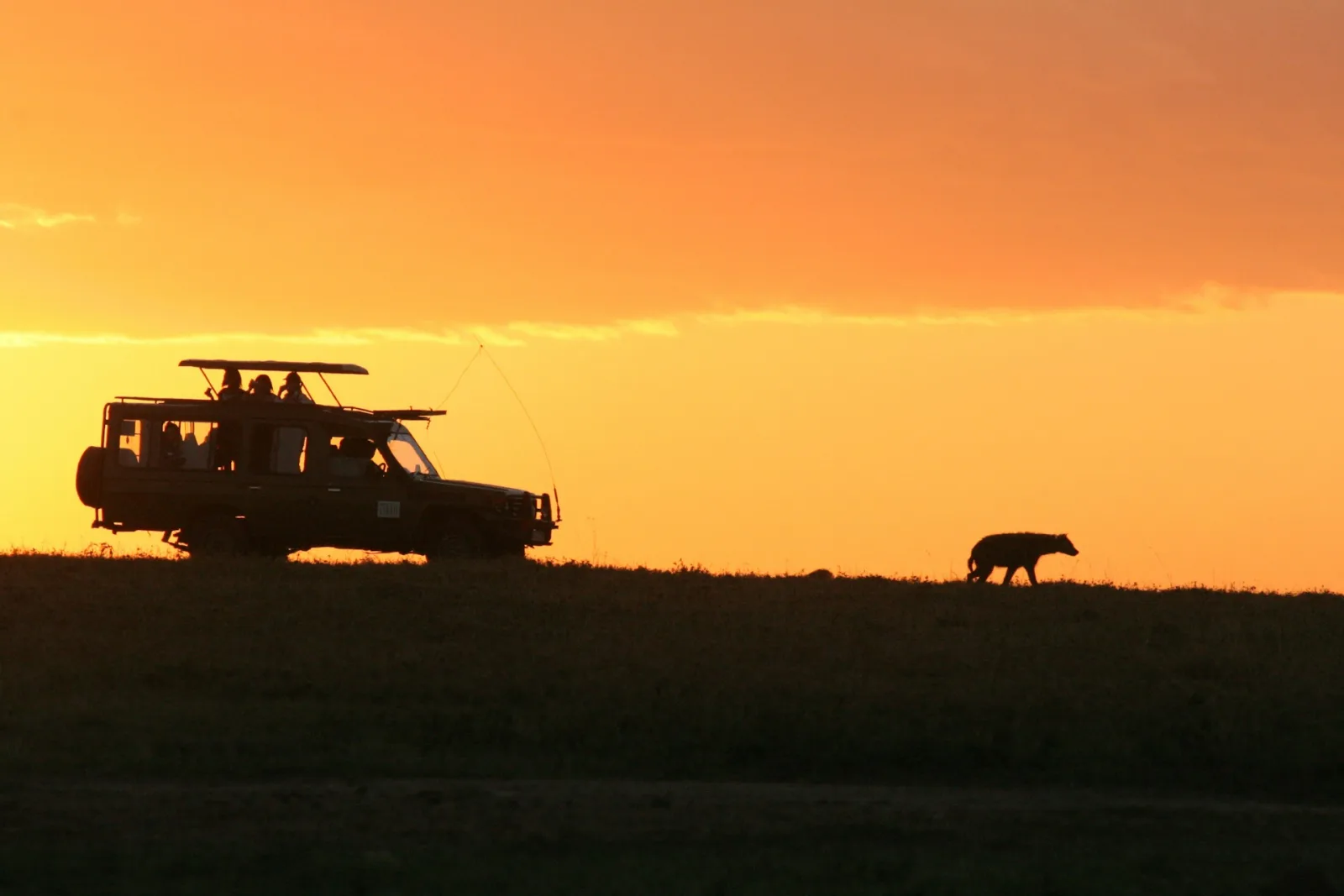 Kenya Safari Health & Vaccinations Guide travel guide for Indian travellers