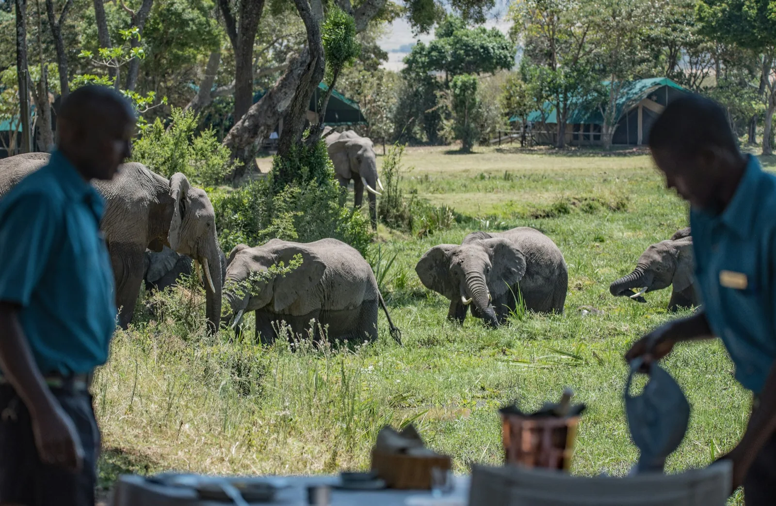 Luxury Lodges in Maasai Mara Guide travel guide for Indian travellers