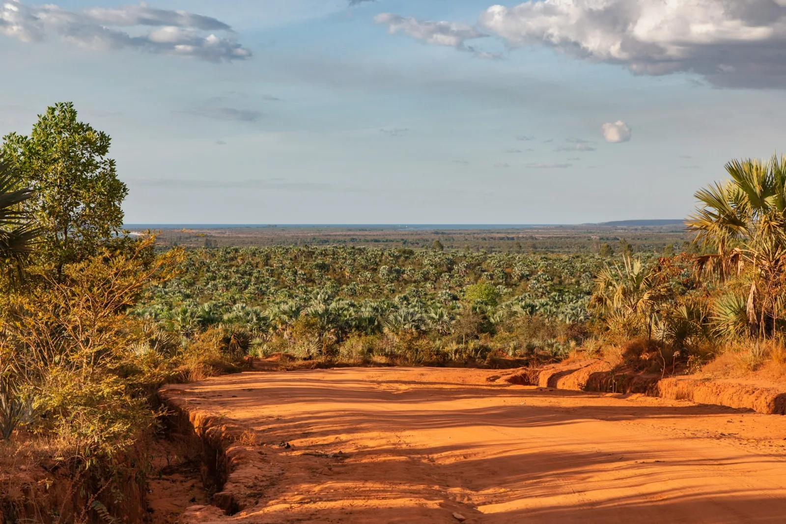 Madagascar Dry Season Travel Guide travel guide for Indian travellers