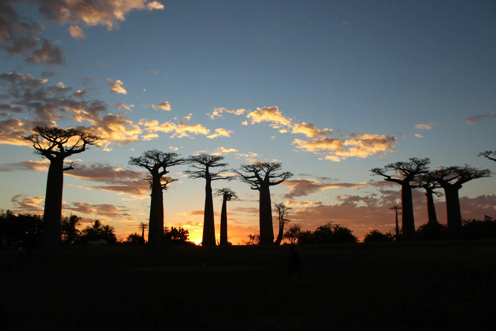Madagascar Safety Tips & Travel Advisories travel guide for Indian travellers