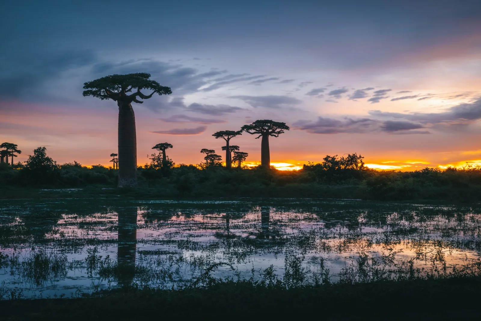 Madagascar Wet Season & Cyclone Advisory travel guide for Indian travellers