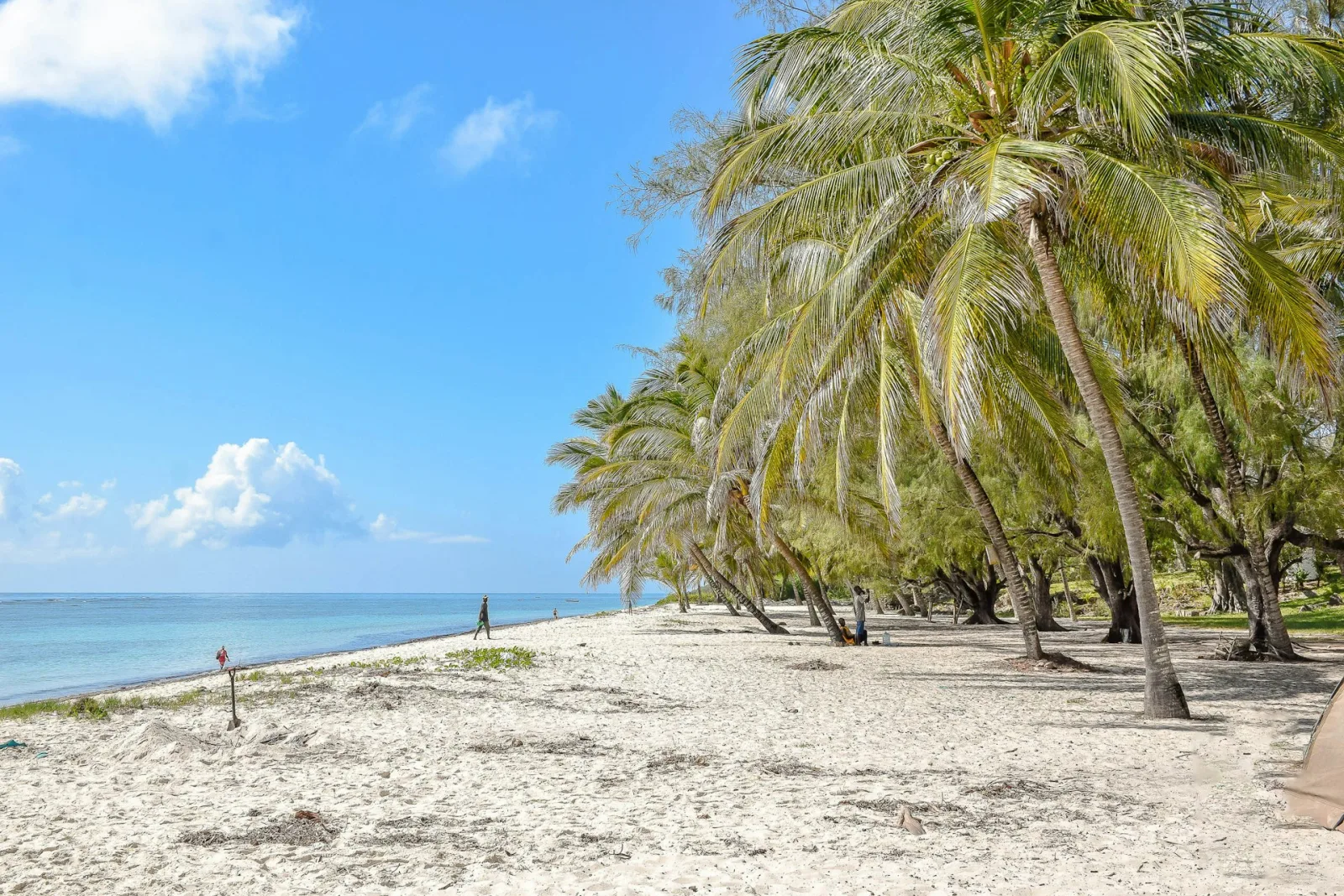 Mombasa City Guide travel guide for Indian travellers