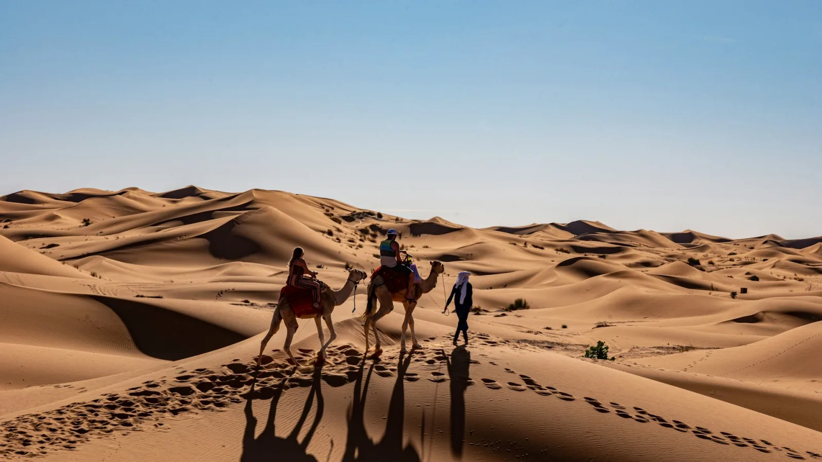 Morocco Desert Tour Guide travel guide for Indian travellers