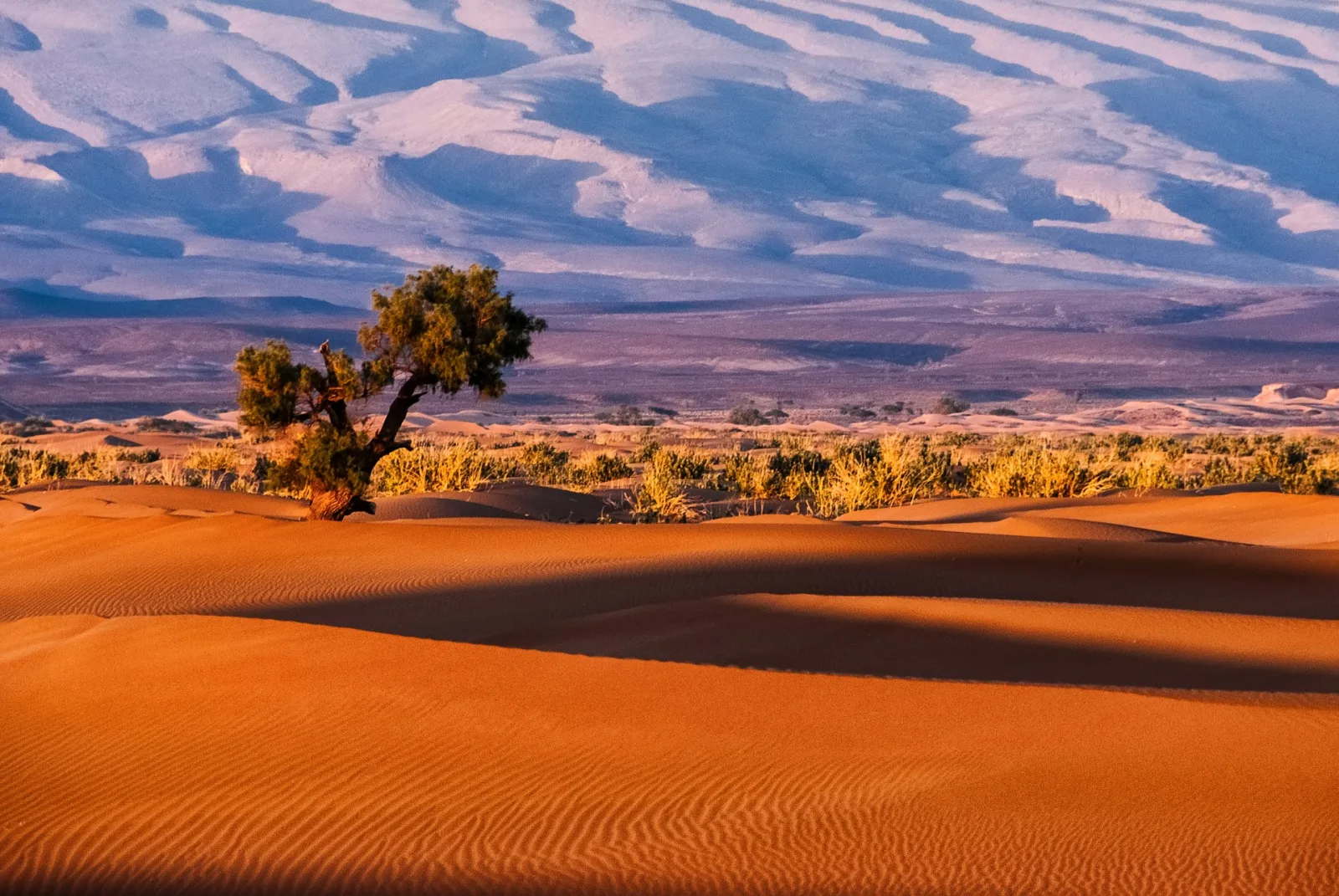 Morocco Travel Guide travel guide for Indian travellers