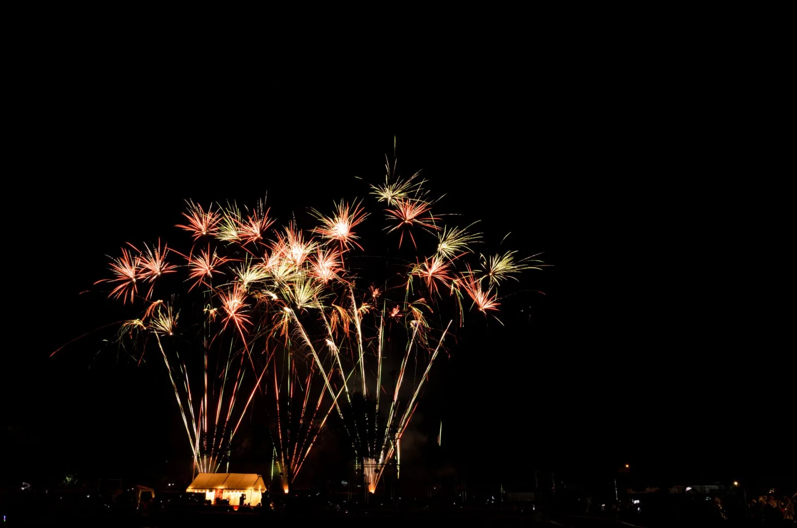 Rwanda Christmas & New Year Packages travel guide for Indian travellers