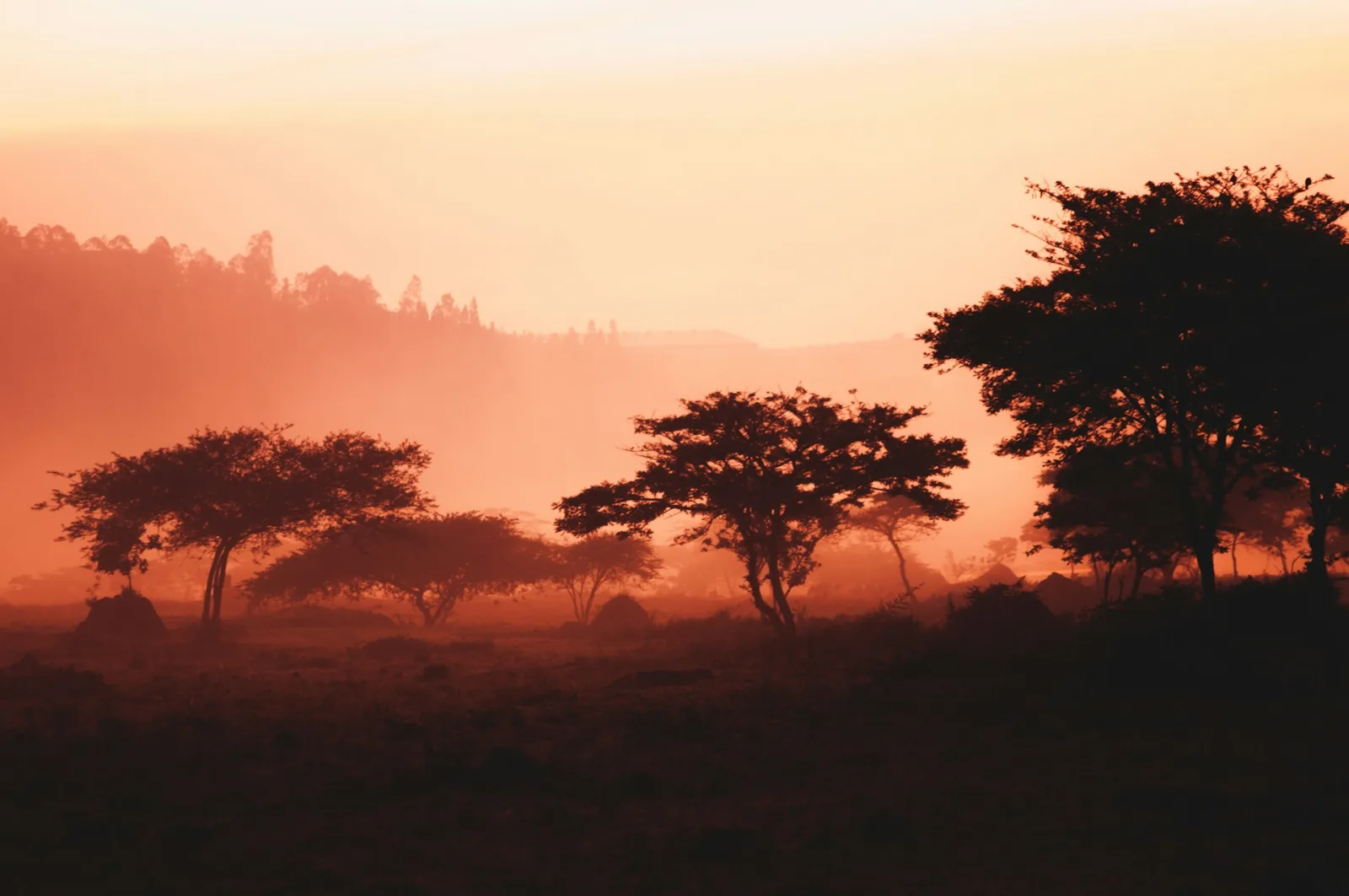 Rwanda Dry Season Travel Guide travel guide for Indian travellers