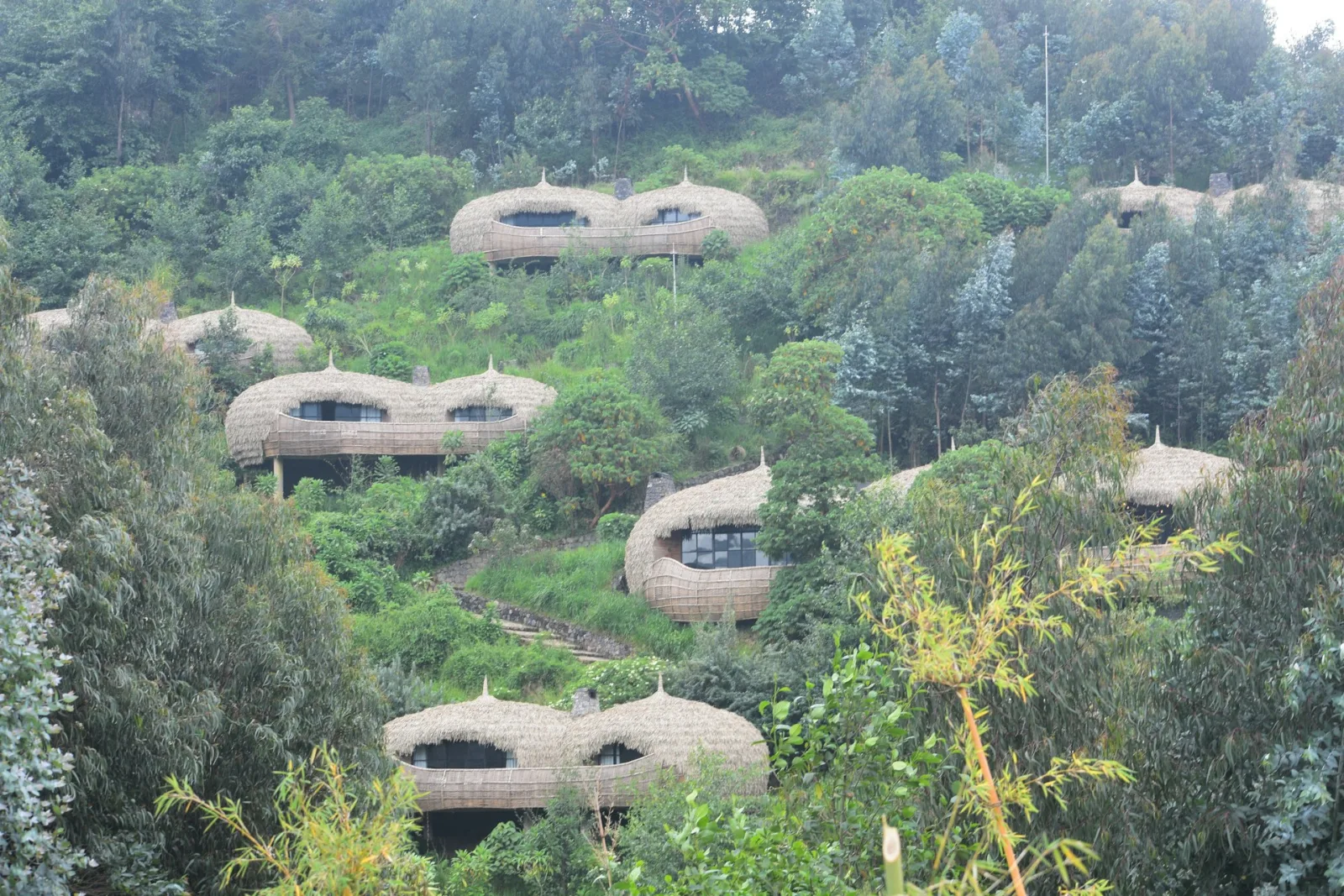 Rwanda Luxury Lodges Guide travel guide for Indian travellers