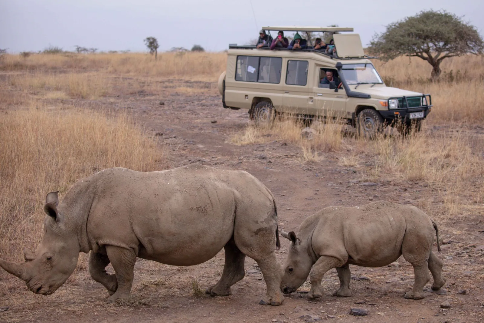 Rwanda Wildlife Safari Guide travel guide for Indian travellers