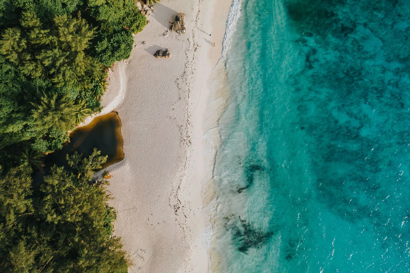 Seychelles Peak Season Travel Guide travel guide for Indian travellers