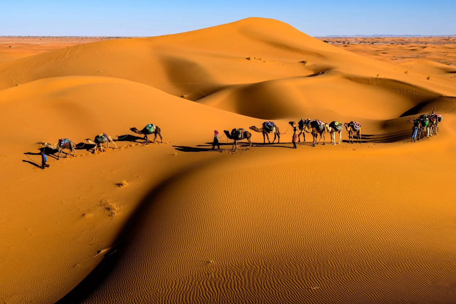 Sousse City Guide travel guide for Indian travellers