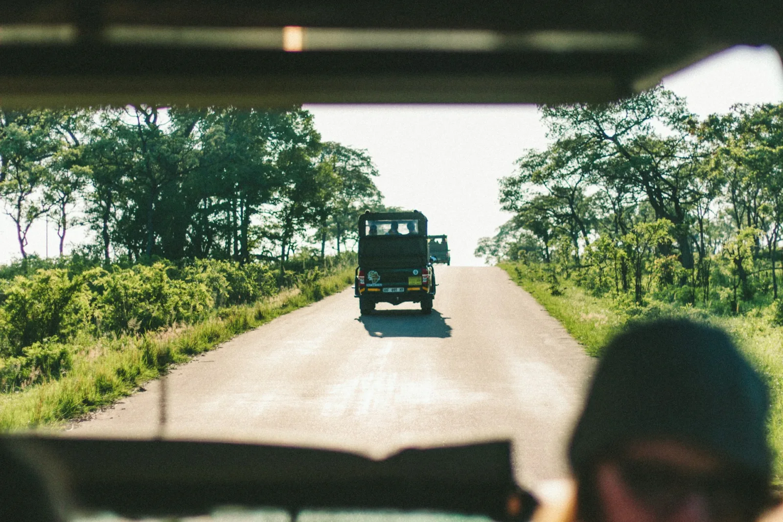 Kruger National Park Self-Drive Guide travel guide for Indian travellers