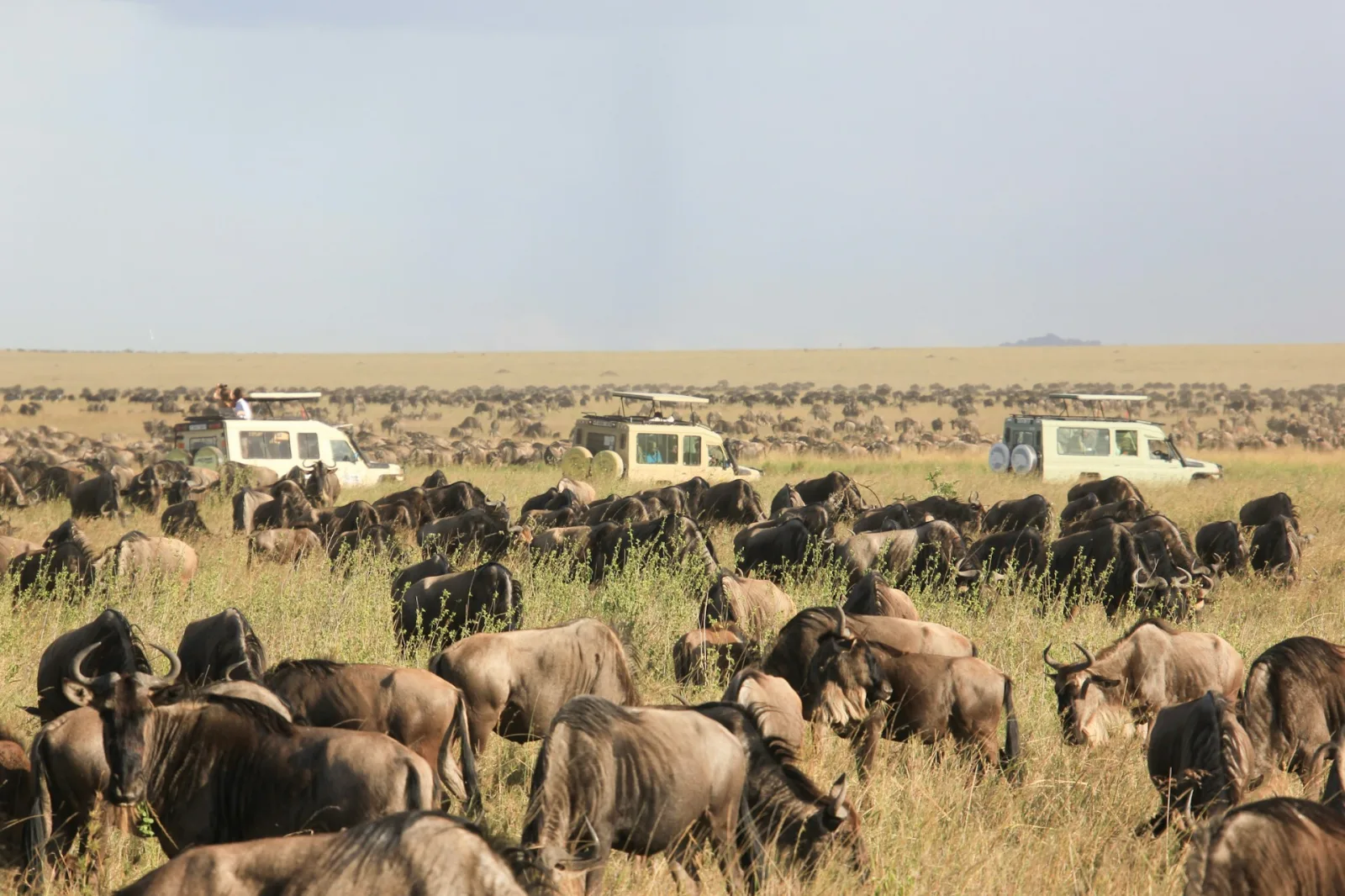 Tanzania Safari Packing List travel guide for Indian travellers