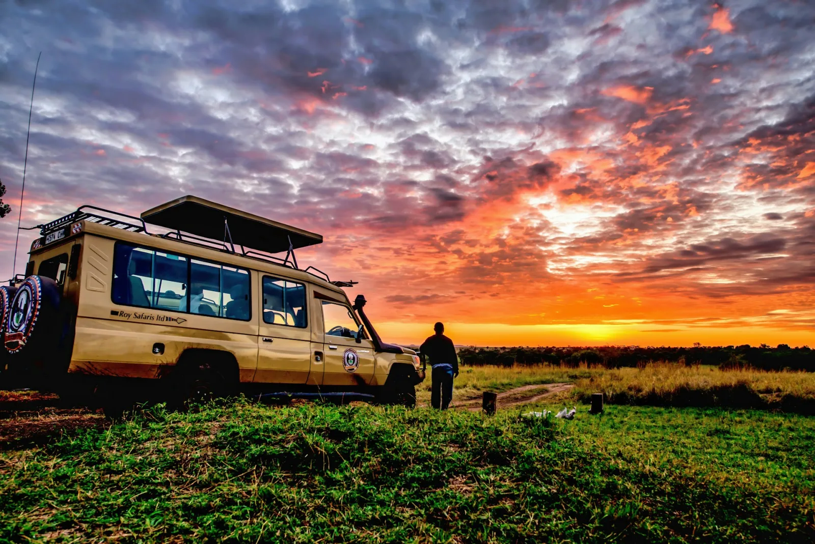 Tanzania Trip Cost from India travel guide for Indian travellers