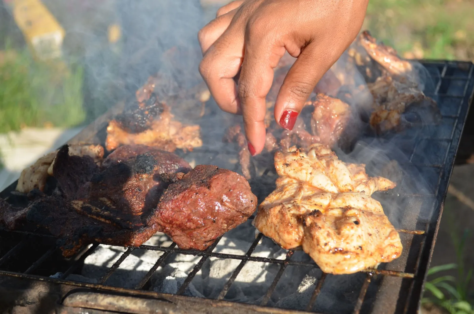 Zimbabwe Food Guide for Indians travel guide for Indian travellers