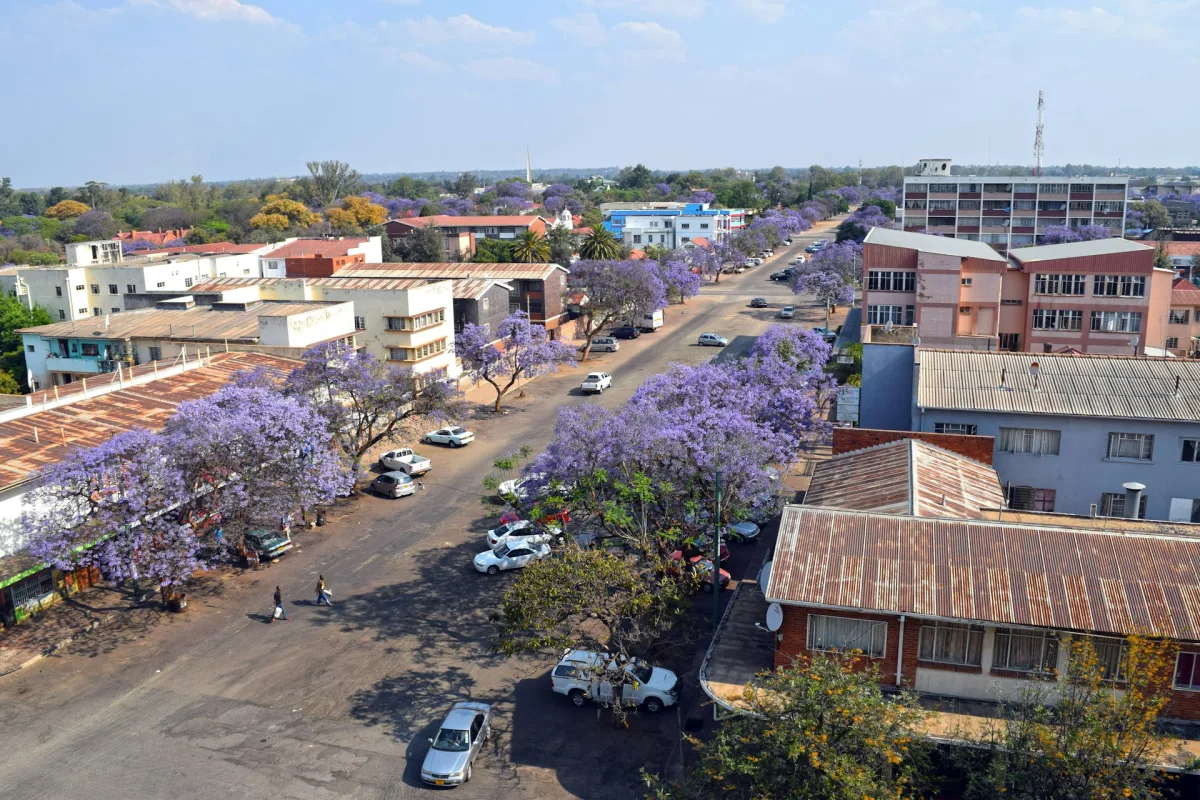 Zimbabwe Shopping Markets Guide 2026 Souvenirs Art Curio Markets Zimbabwe Shopping Markets Guide 2026 Souvenirs Art Curio Markets