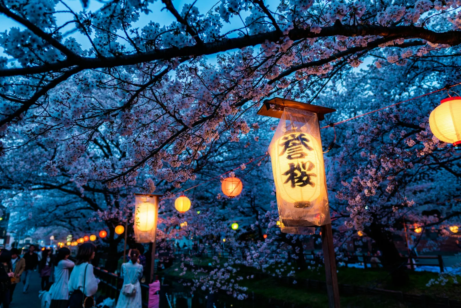 Best Time to Visit Japan from India for Indian travellers