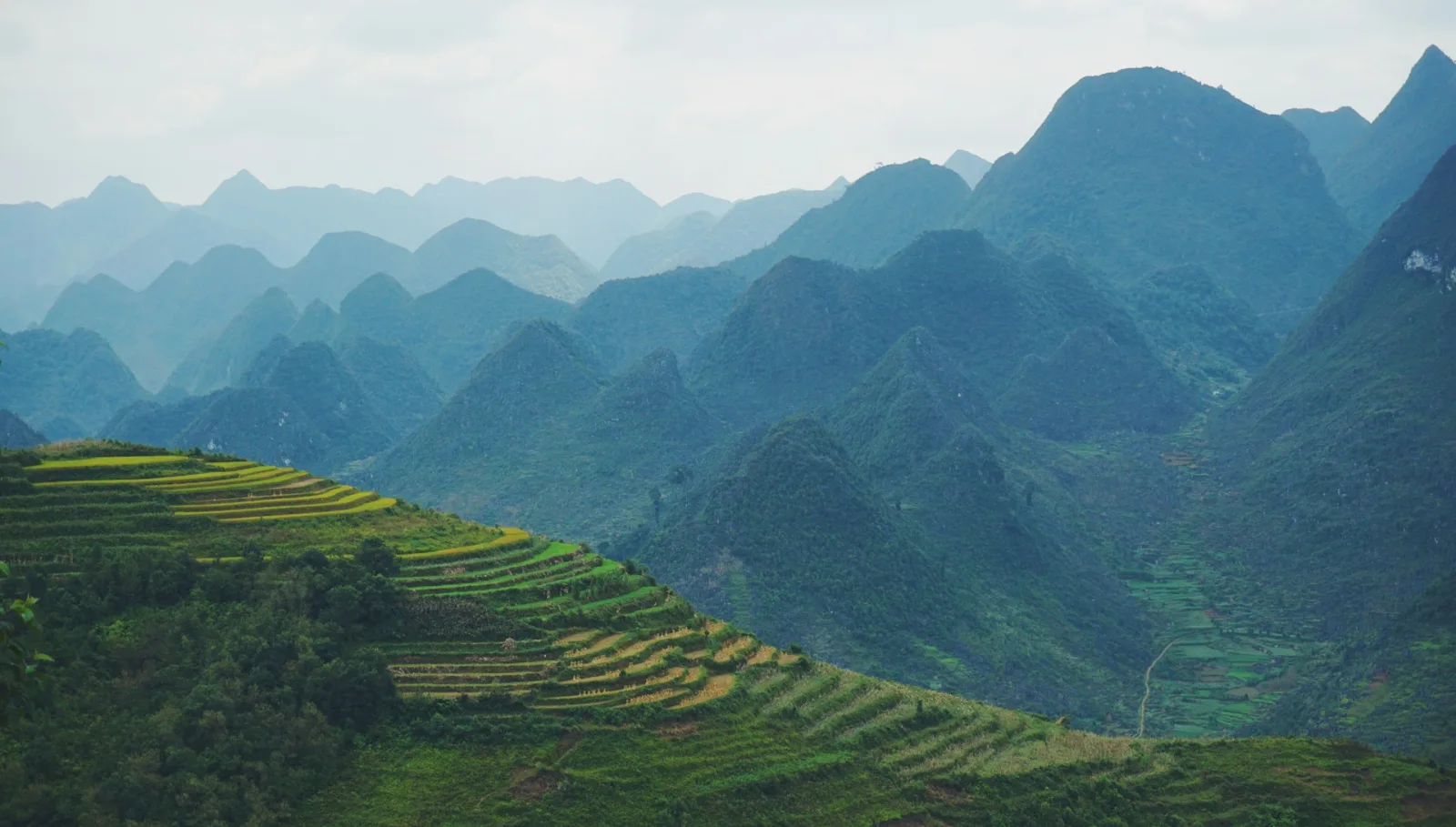Best Time to Visit Vietnam from India travel guide for Indian travellers