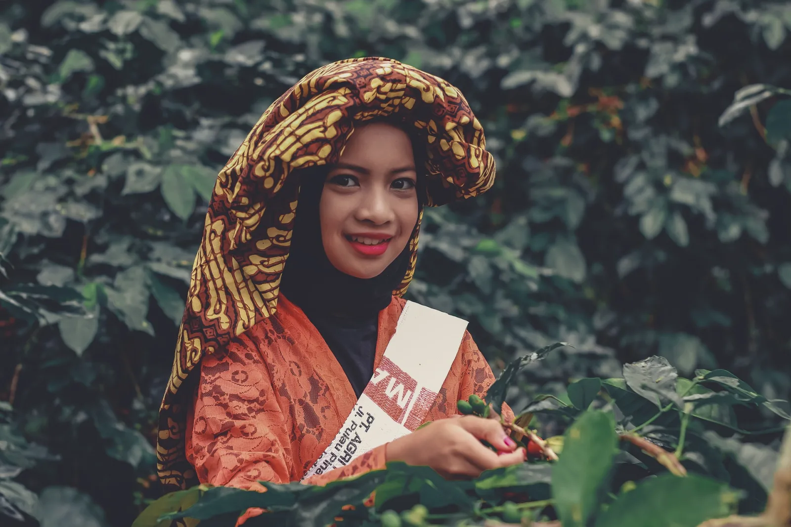 Indonesia Coffee Culture Guide travel guide for Indian travellers