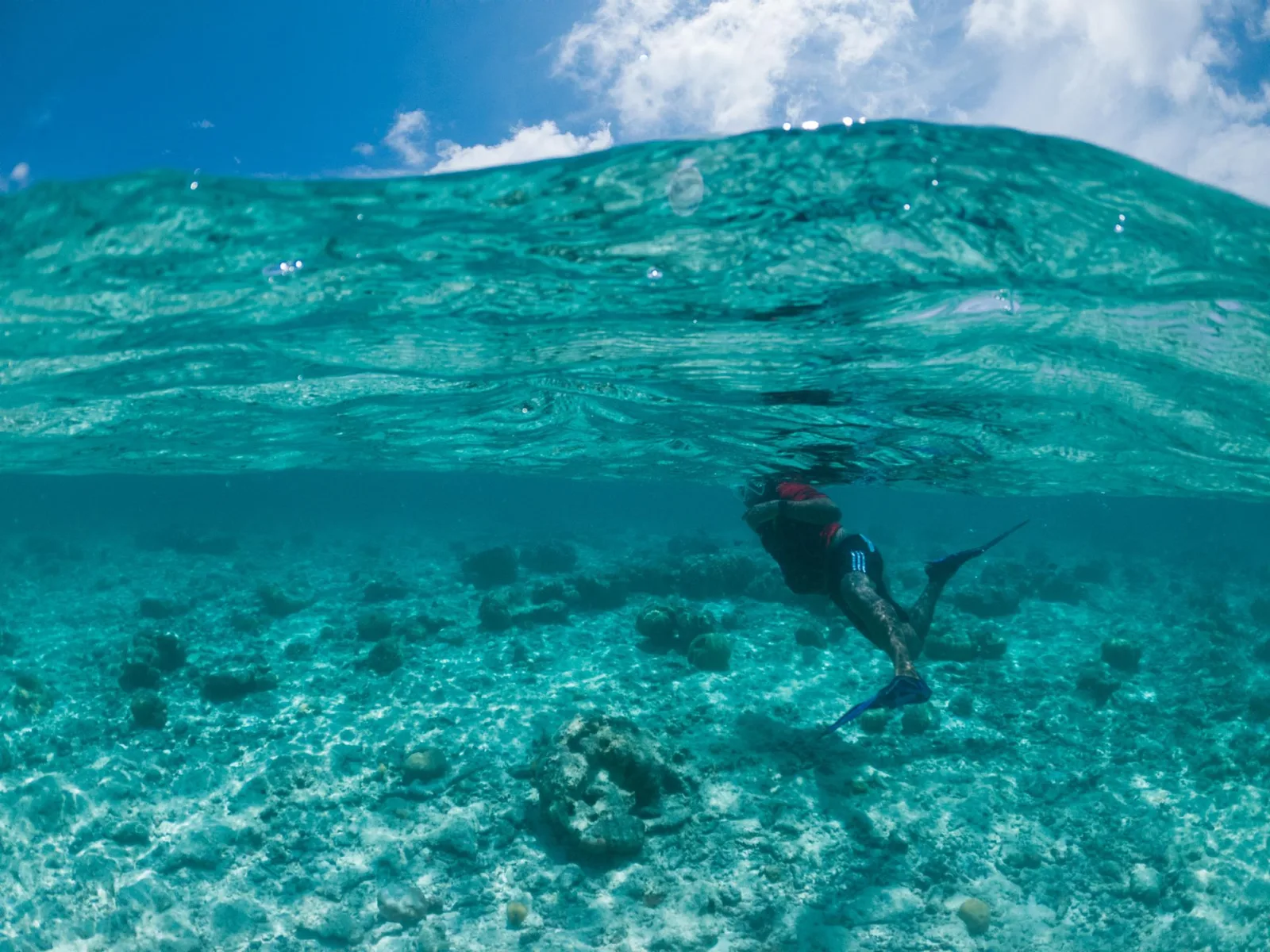 Maldives Diving & Snorkeling Guide travel guide for Indian travellers