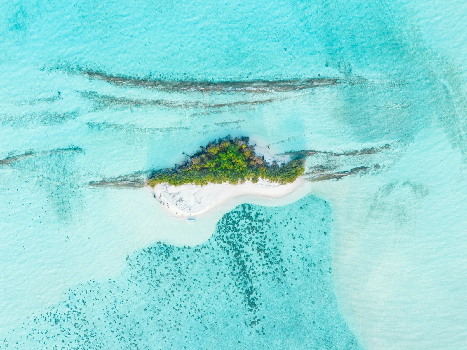 Maldives Marine Conservation & Eco-Tourism travel guide for Indian travellers