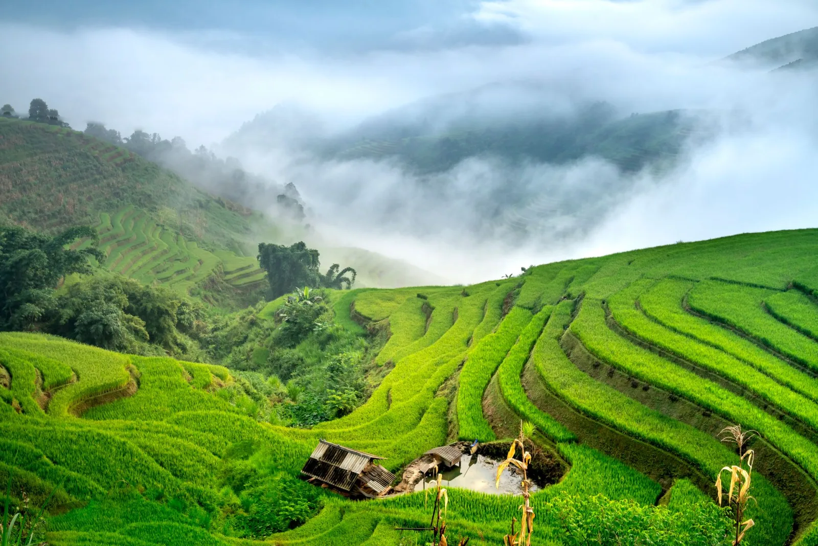 Vietnam Monsoon Travel Guide travel guide for Indian travellers