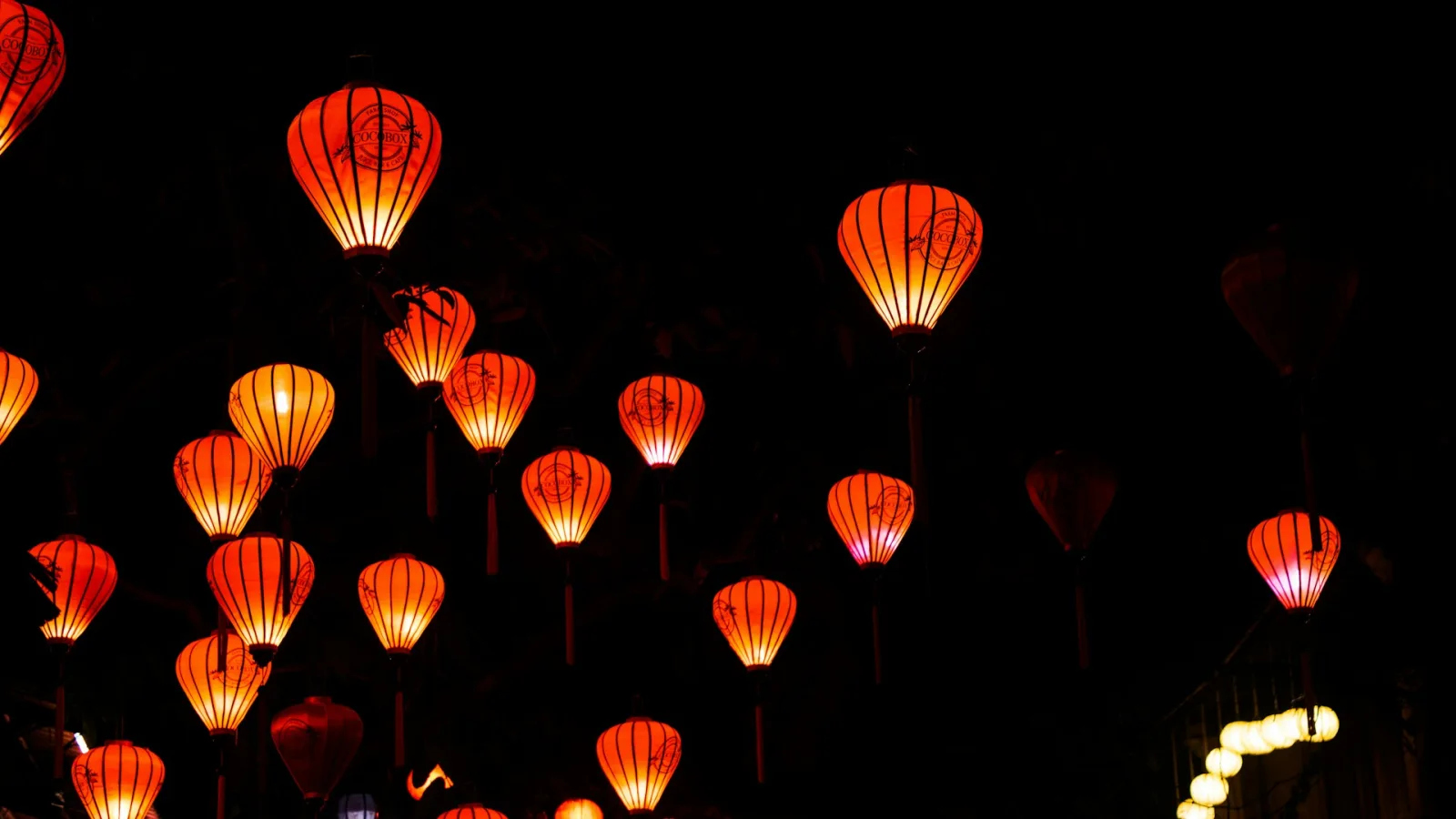 Vietnam Tet Festival Travel Guide travel guide for Indian travellers