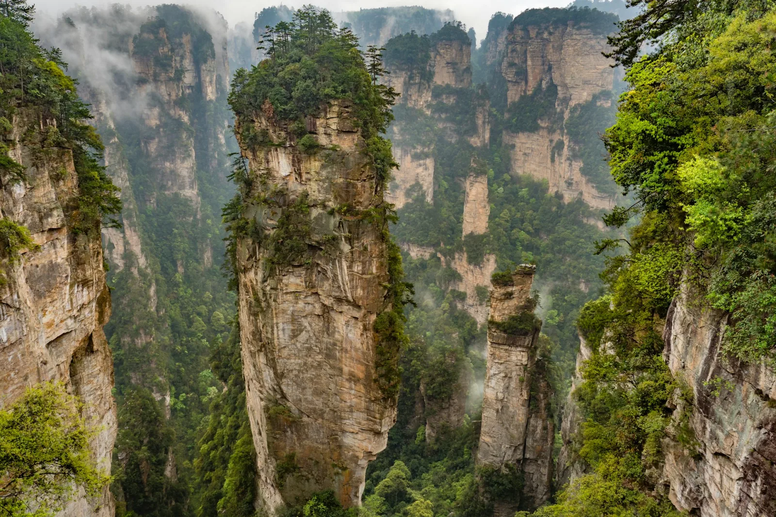 Zhangjiajie Travel Guide for Indians travel guide for Indian travellers