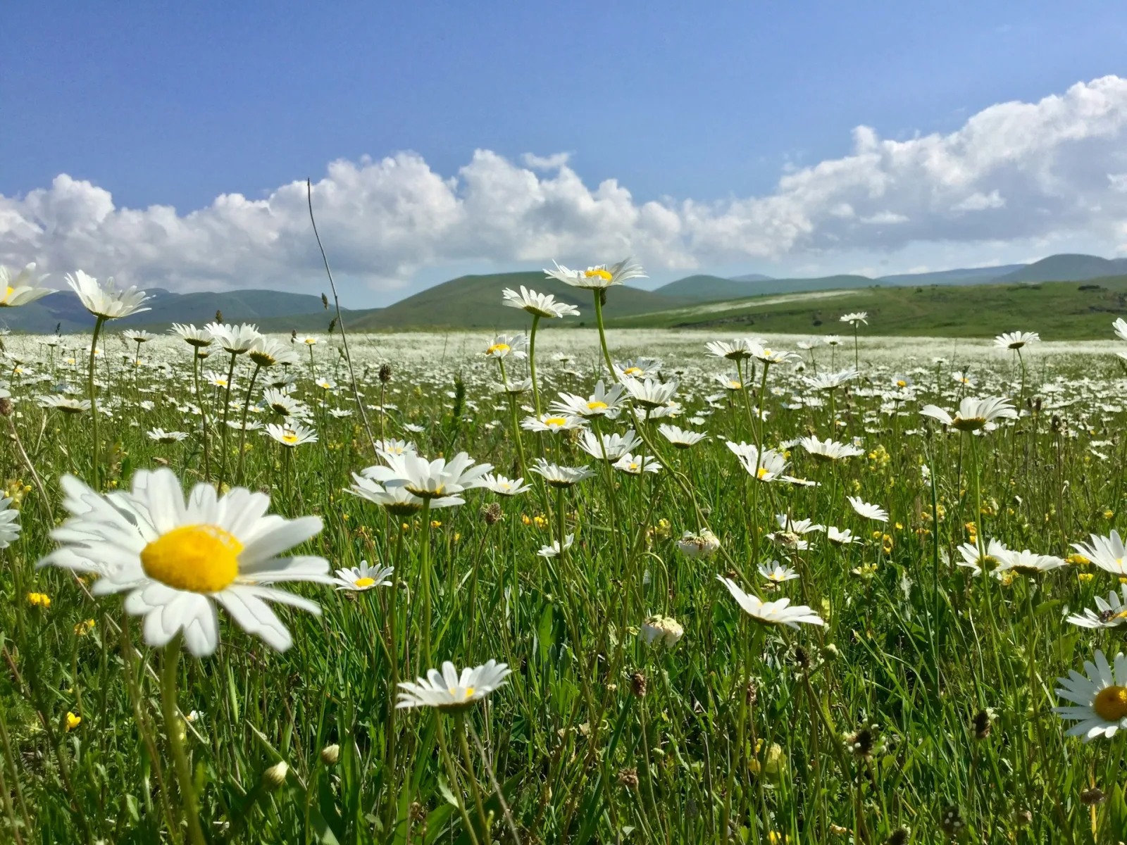 Armenia Summer Travel Guide travel guide for Indian travellers