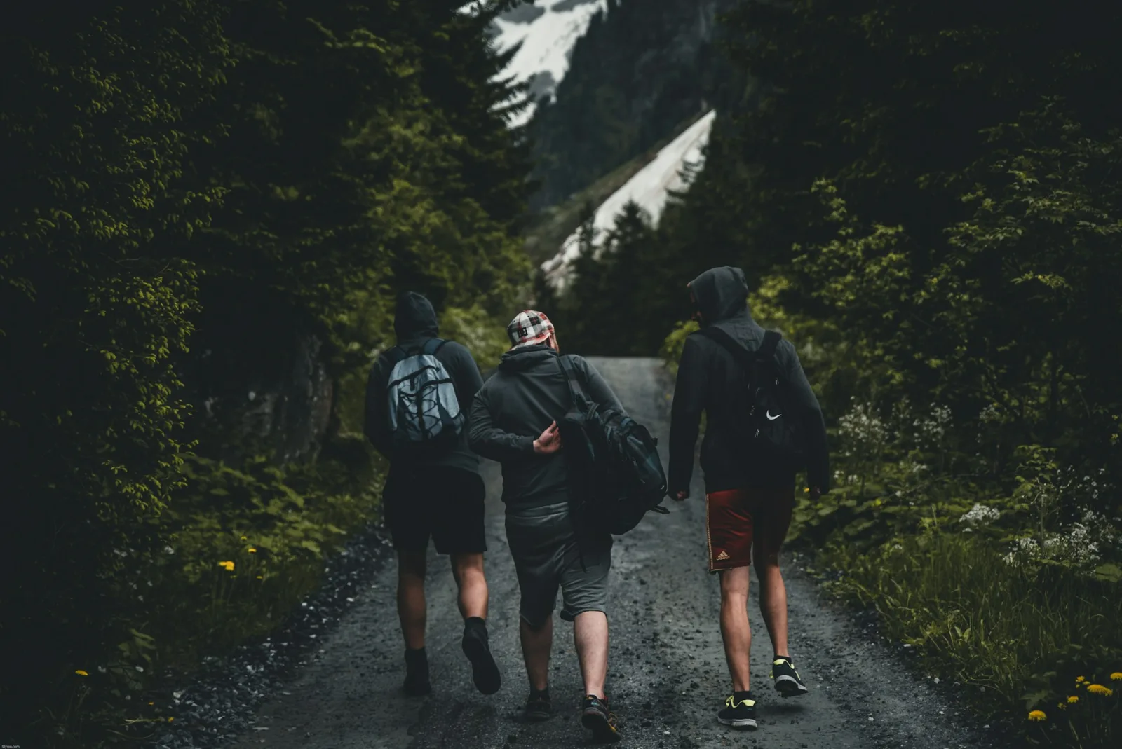 Austria Student Travel Guide for Indians travel guide for Indian travellers